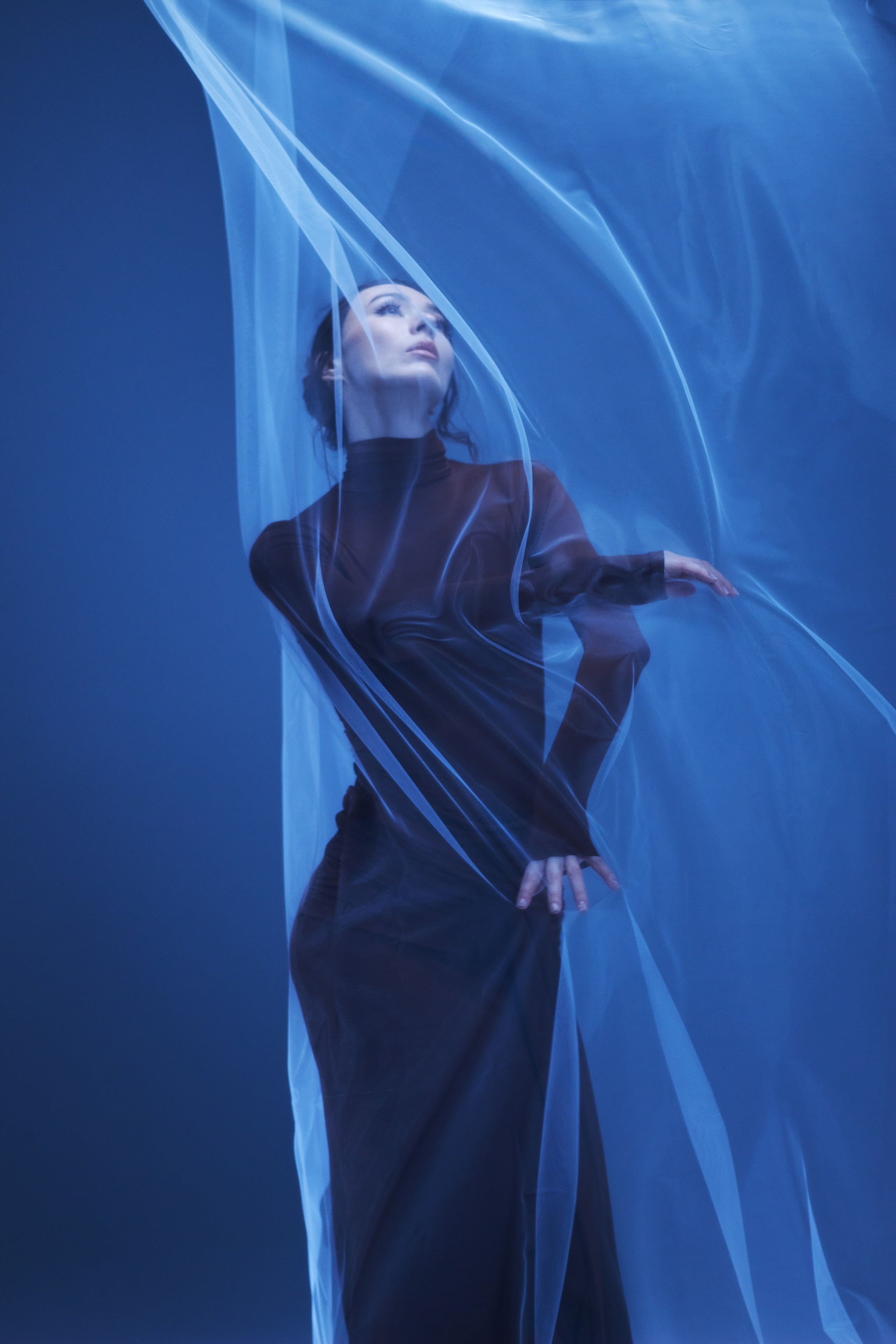 Юлия. Фотограф анималист — Тула, Москва