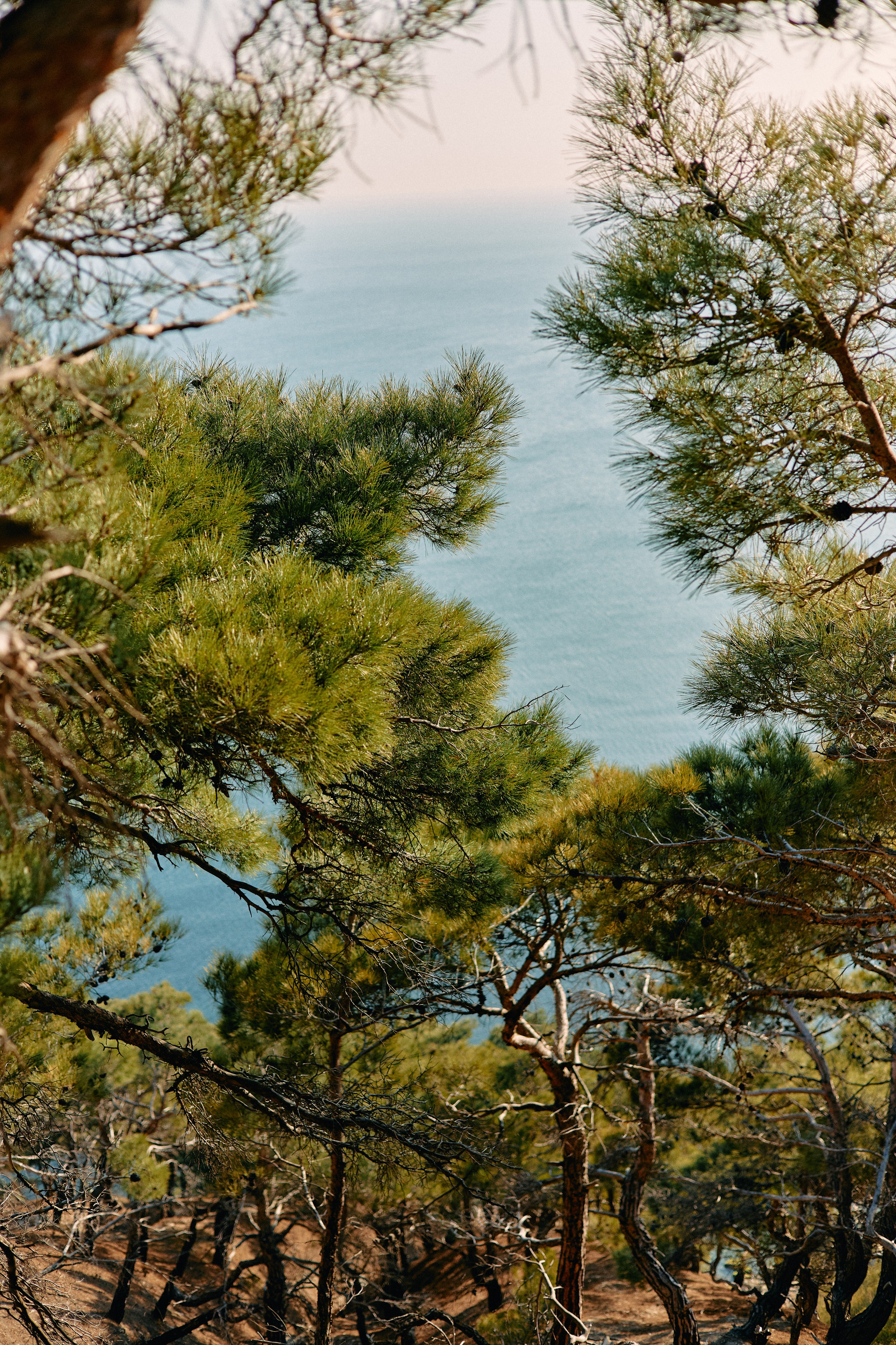 Юг России. Профессиональный Фотограф во Владимире, в Москве и в Суздале — Полина Романычева