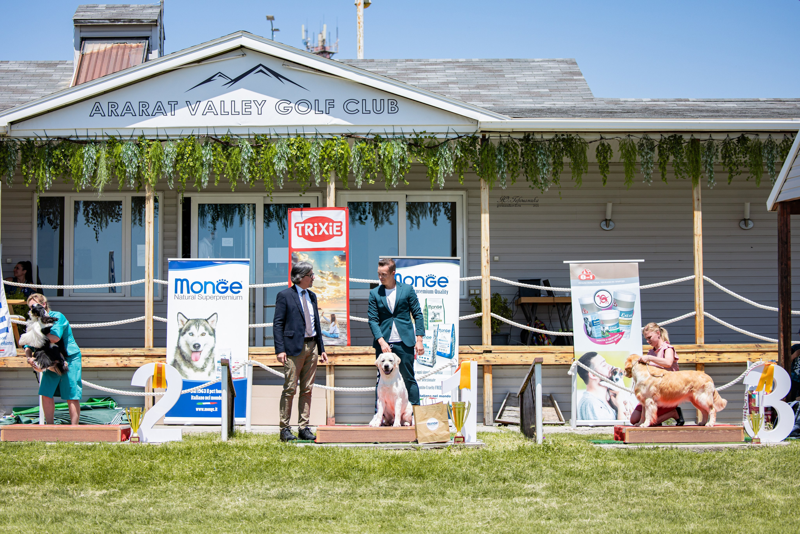 Ереван 3-5.06.2024. Фотограф-анималист Юлия Германика