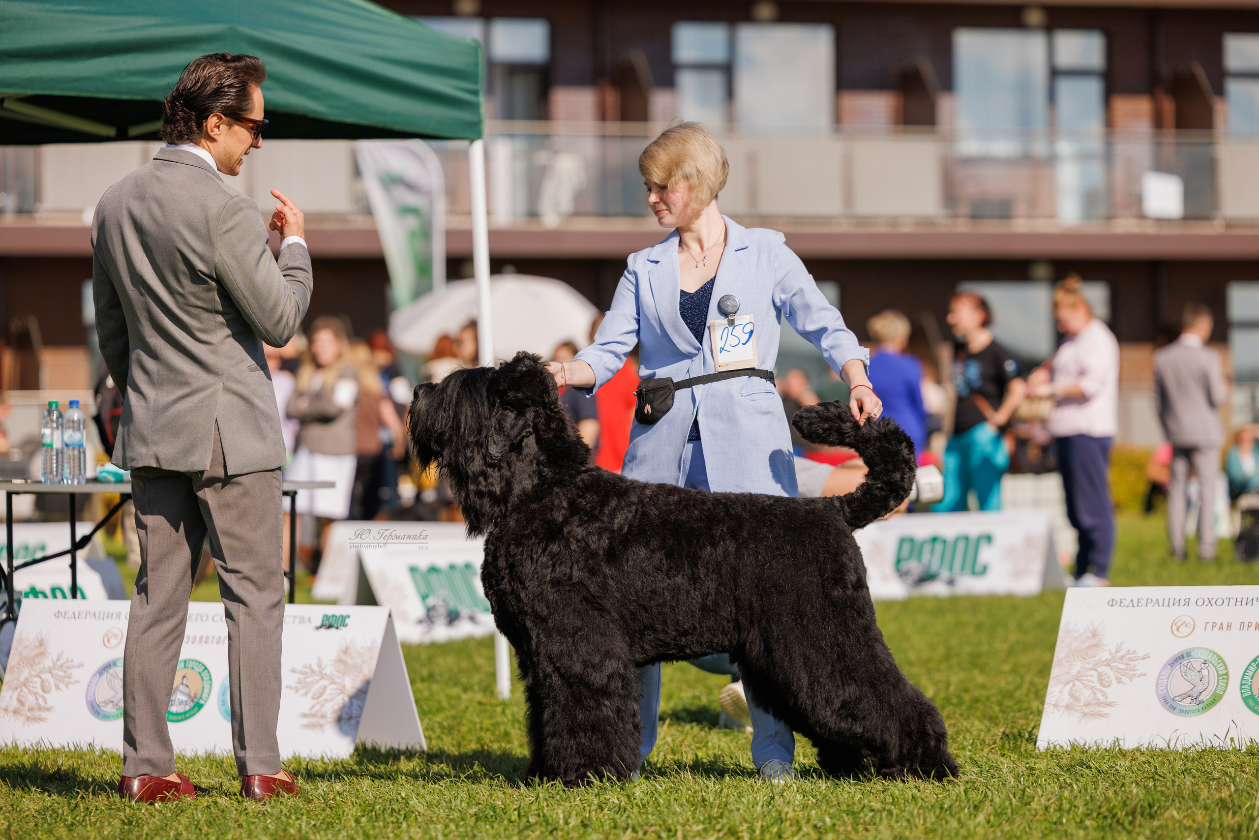 Переславль 5-7.08.2025. Фотограф-анималист Юлия Германика