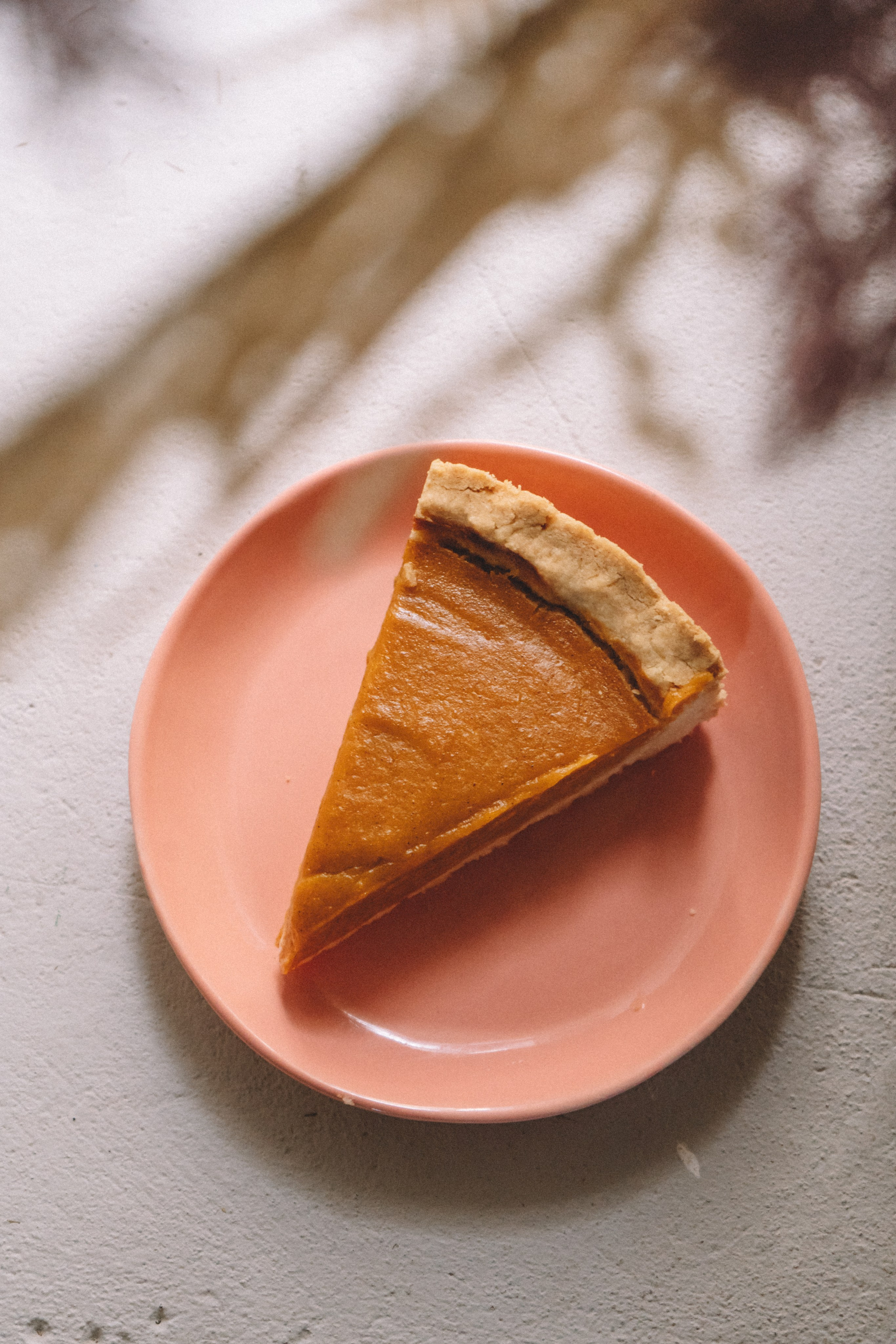 Yankee sierra. Анастасия Попова — Fashion photographer