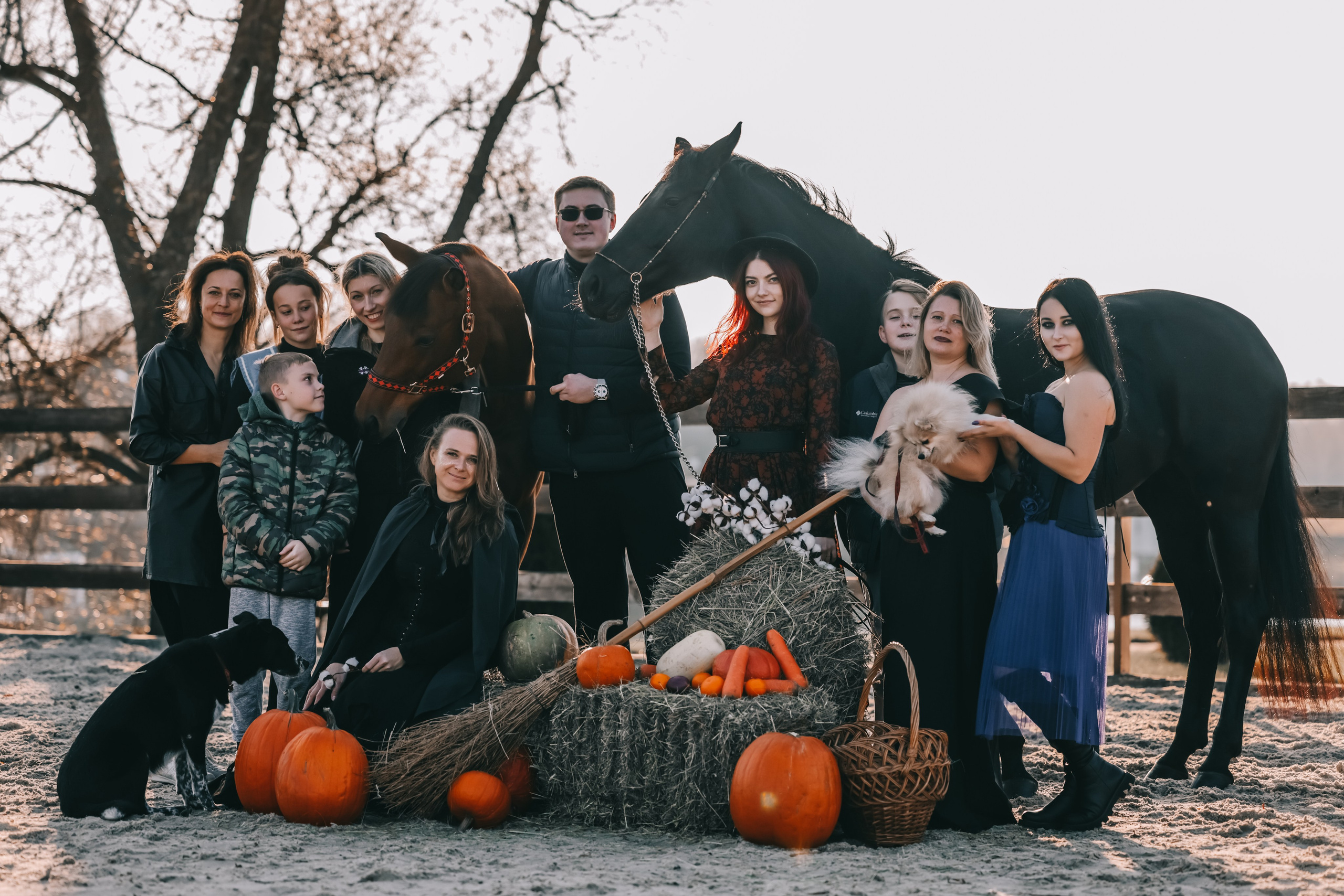 КСК Ждановское фотосессия. Фотосессии с лошадьми