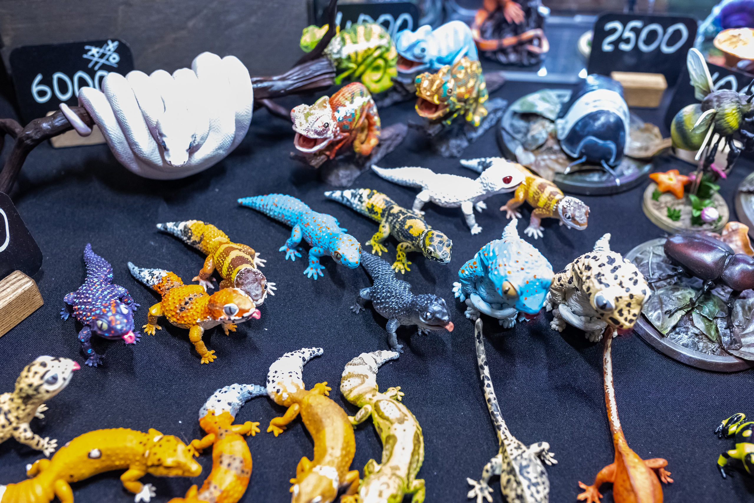 Рептилиум 2024. Александра Куликова фотограф, Москва