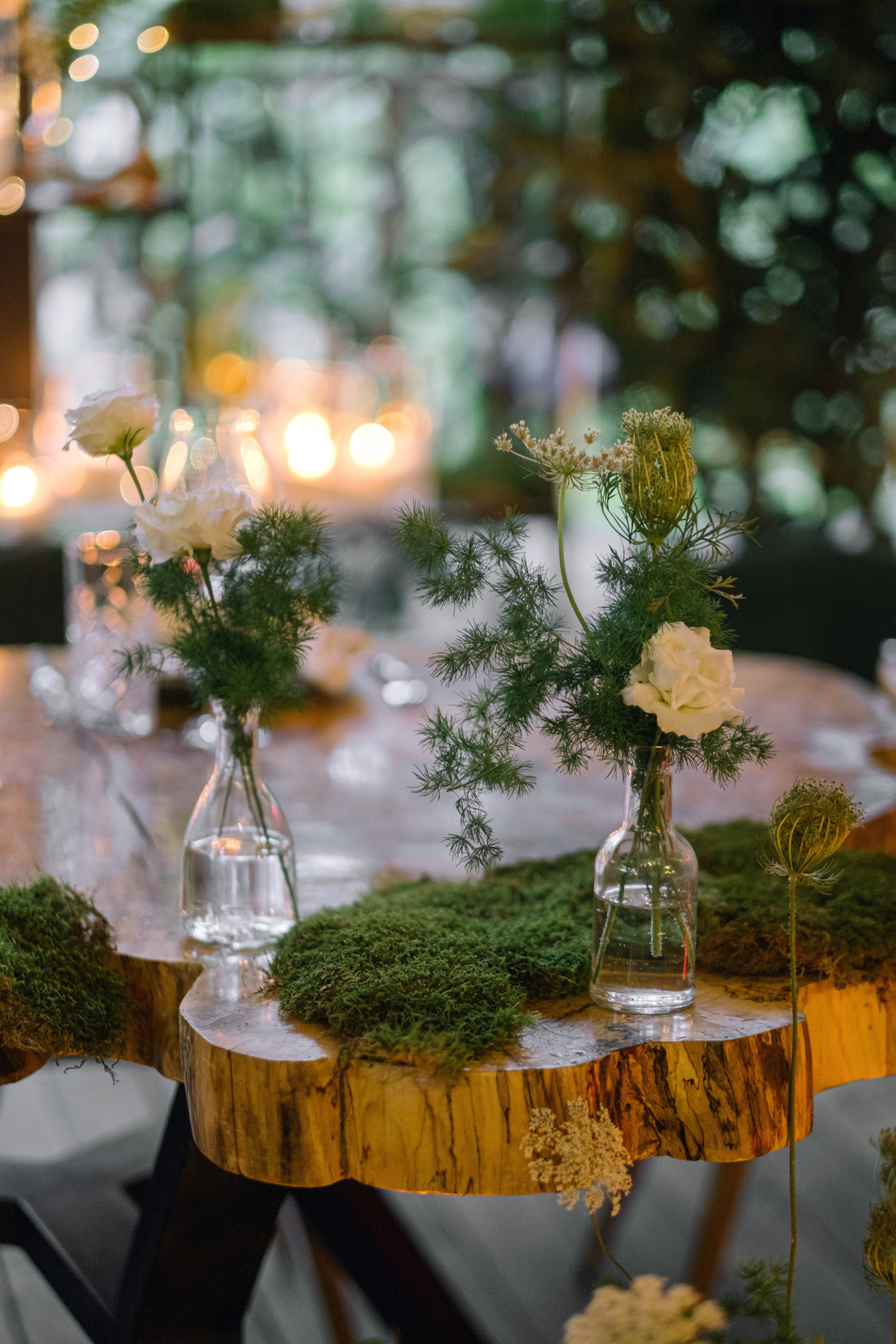 Кот и Дракон. Свадебный Видеограф Фотограф в Сочи