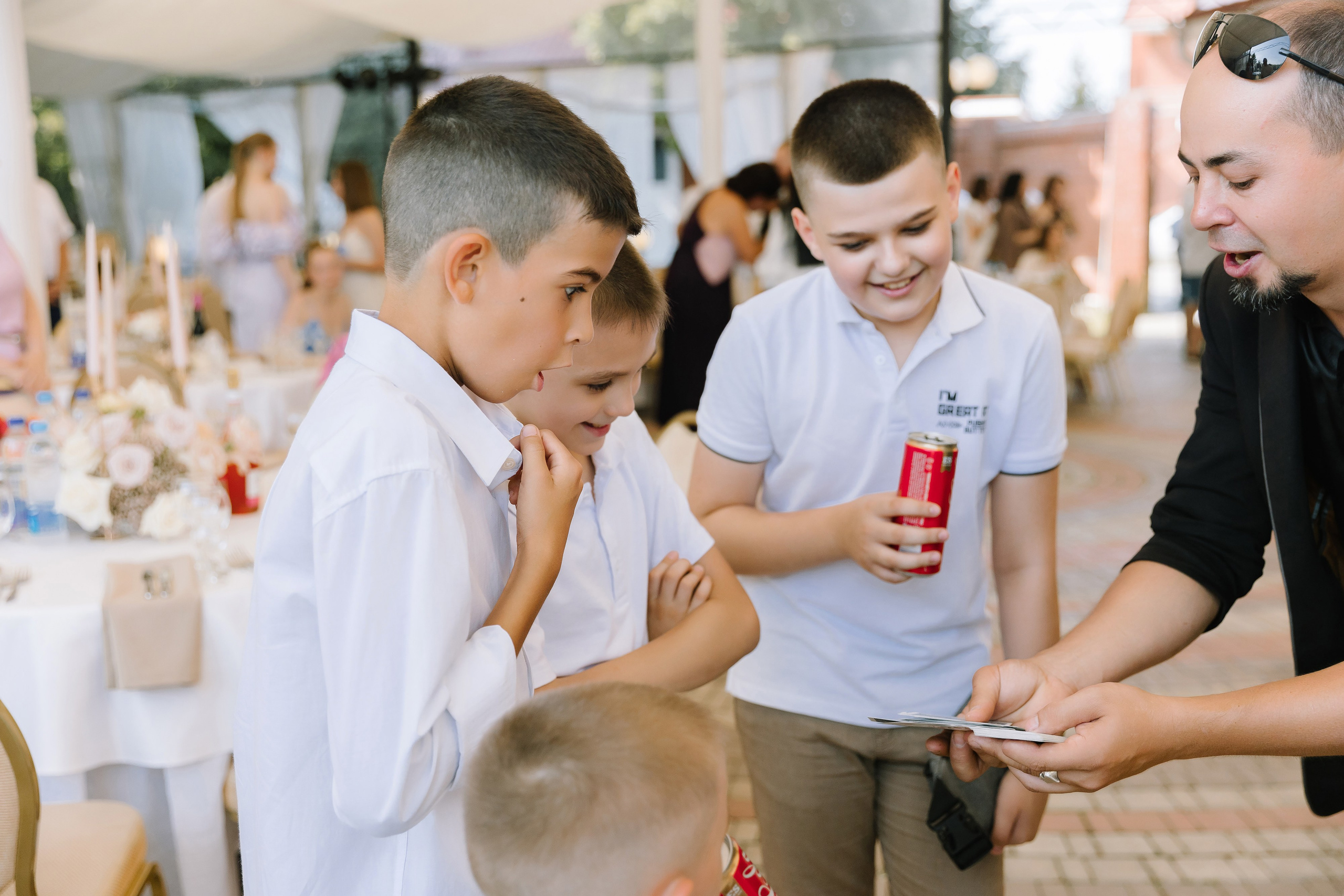 Бабочки. Фотограф Елена Краснопевцева