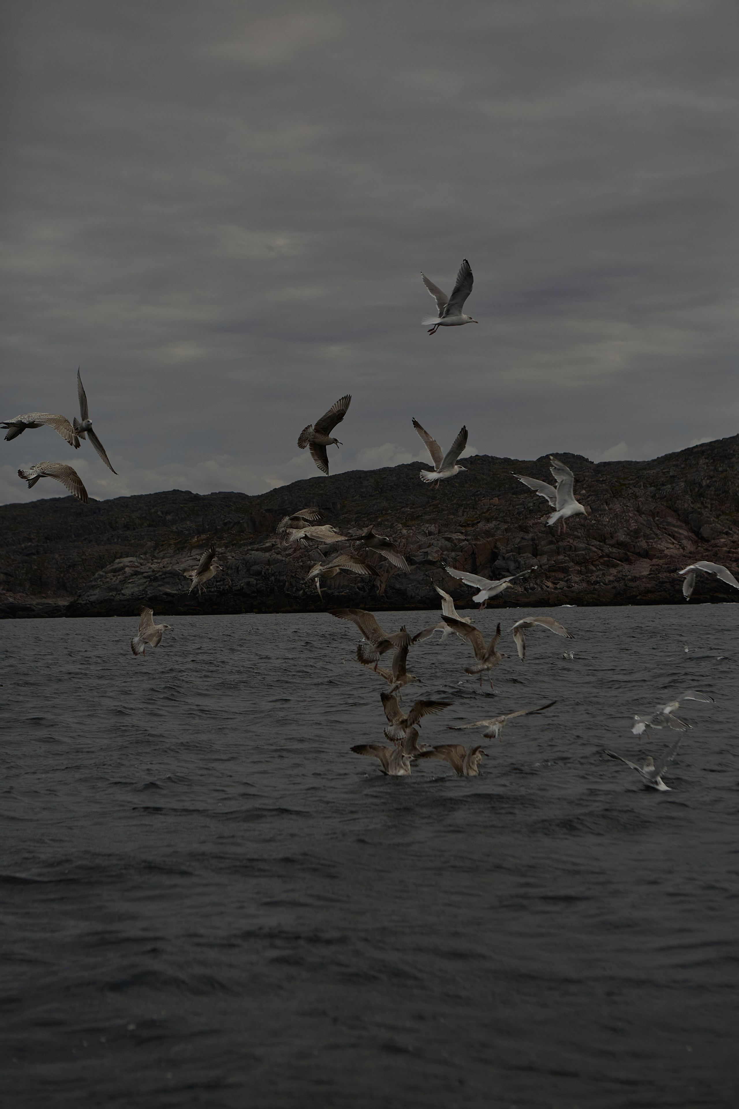 Ульяна. Анастасия Зобнинá — фотограф в Санкт-Петербурге/СПб