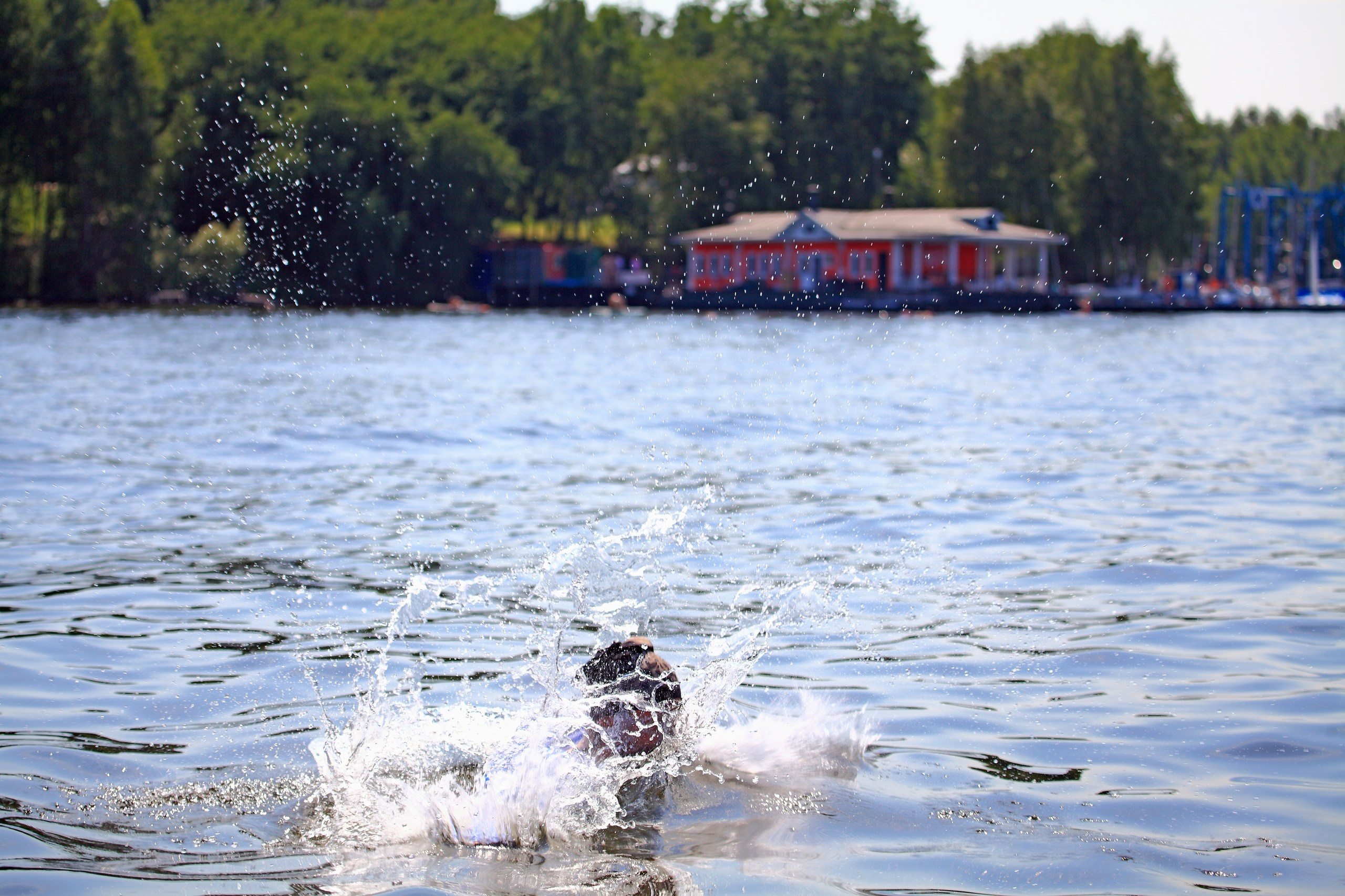 Яхтинг | 26.06.2021. Галерея Фантим