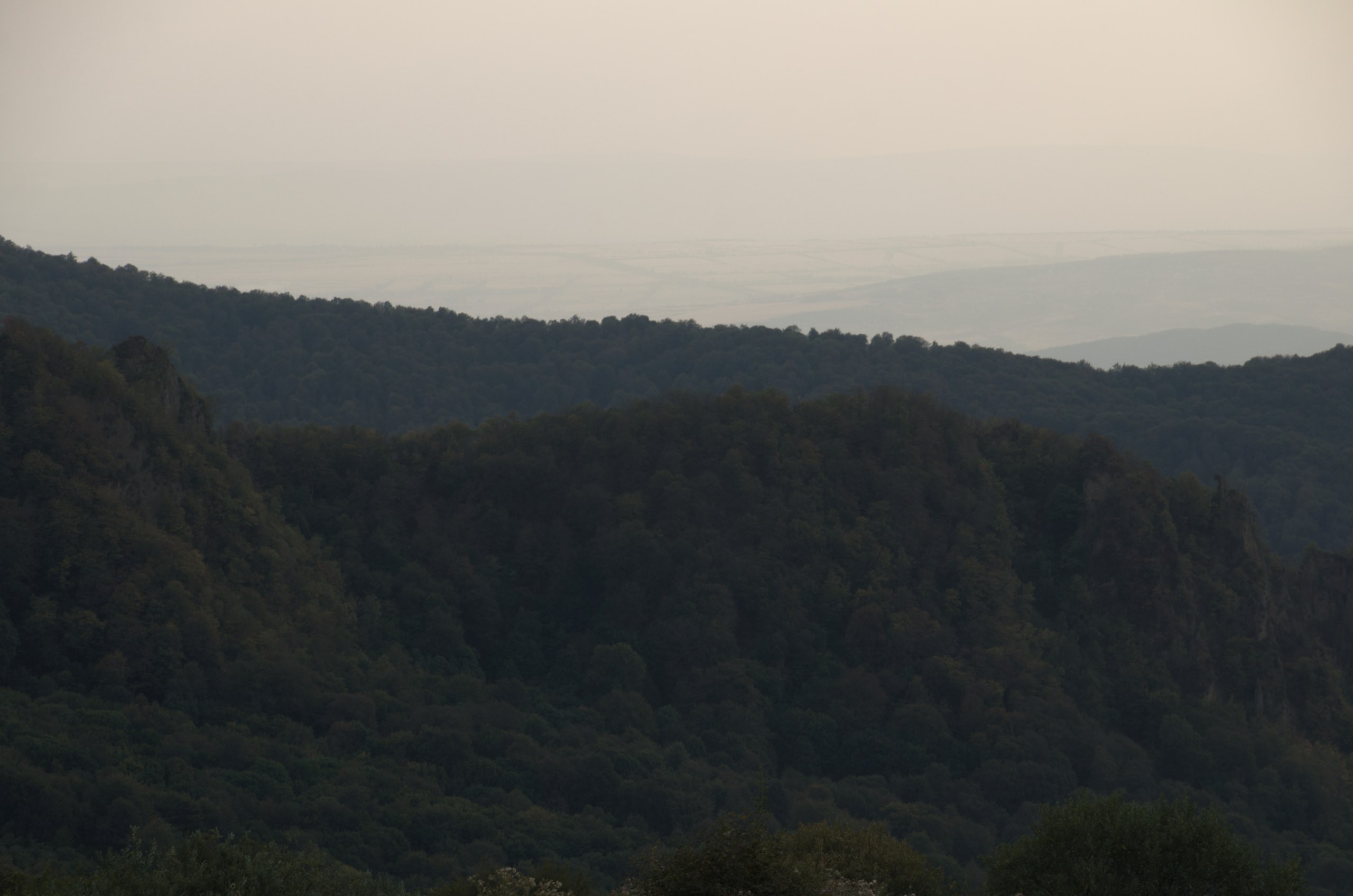 Грузия | 22-25.09.2017. Галерея Фантим