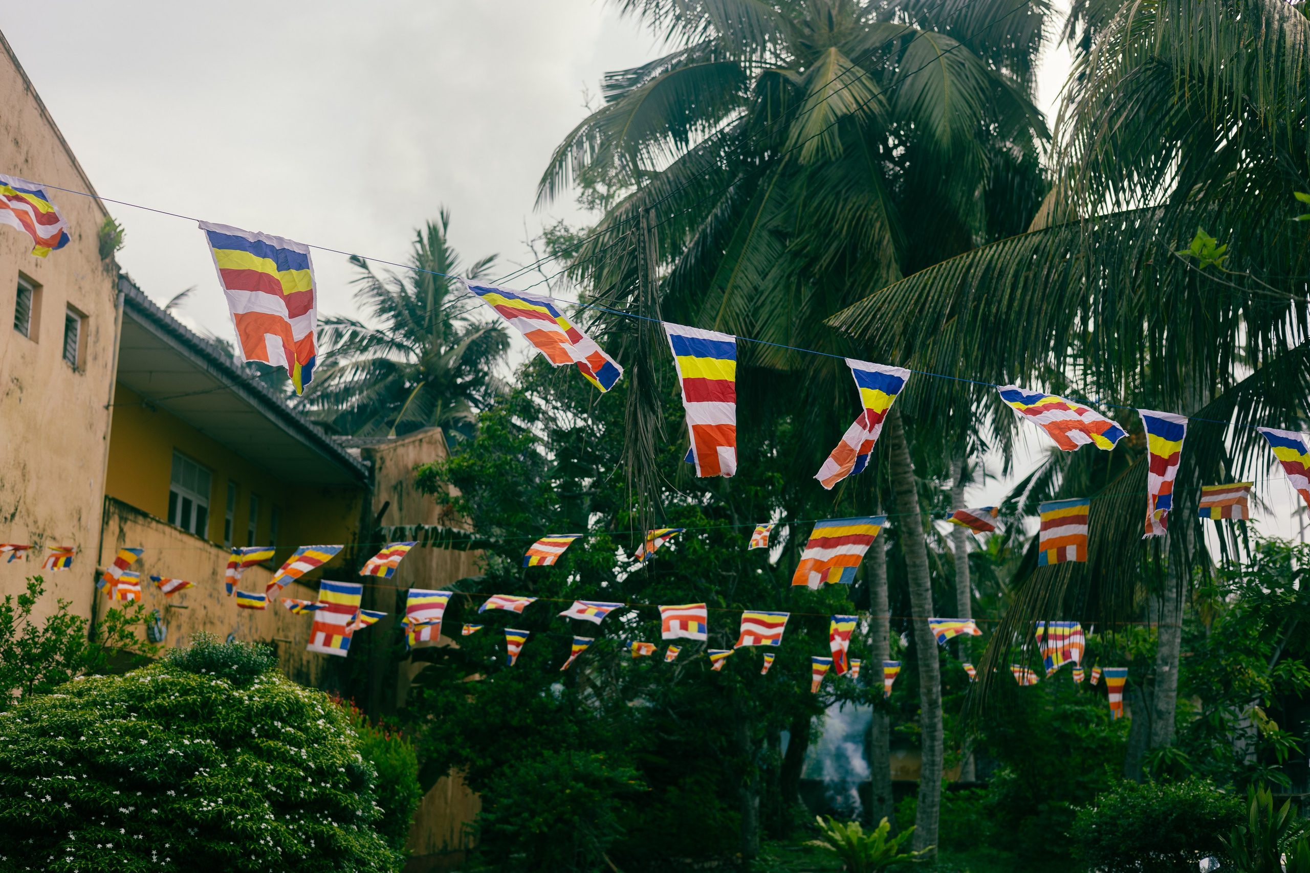 Vesak Poya 2023. Photographer Sonkina Tatiana (Tanya Ash)