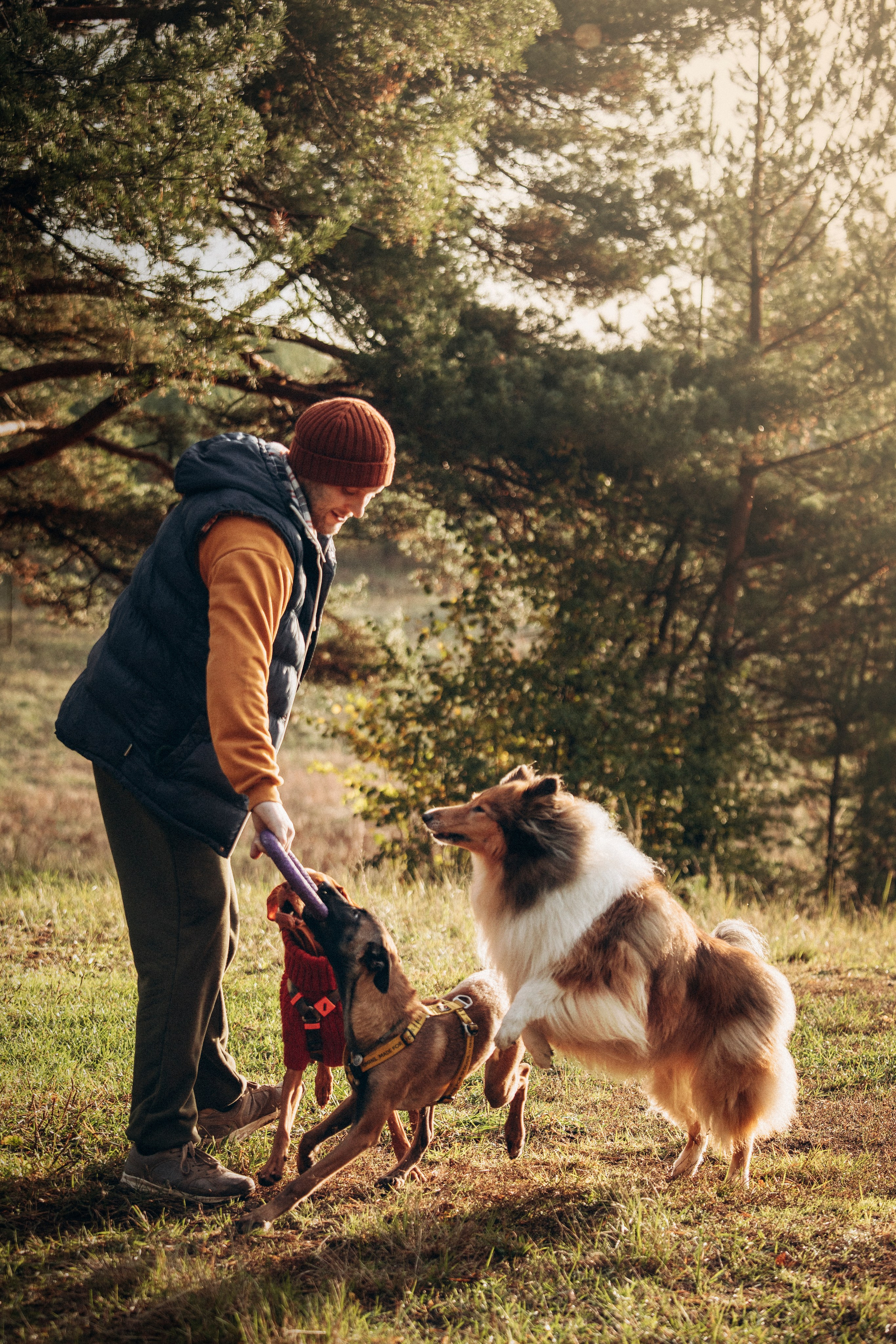 Трисс, Эста, Яся и их семья. Фотограф — Анималист | Санкт-Петербург
