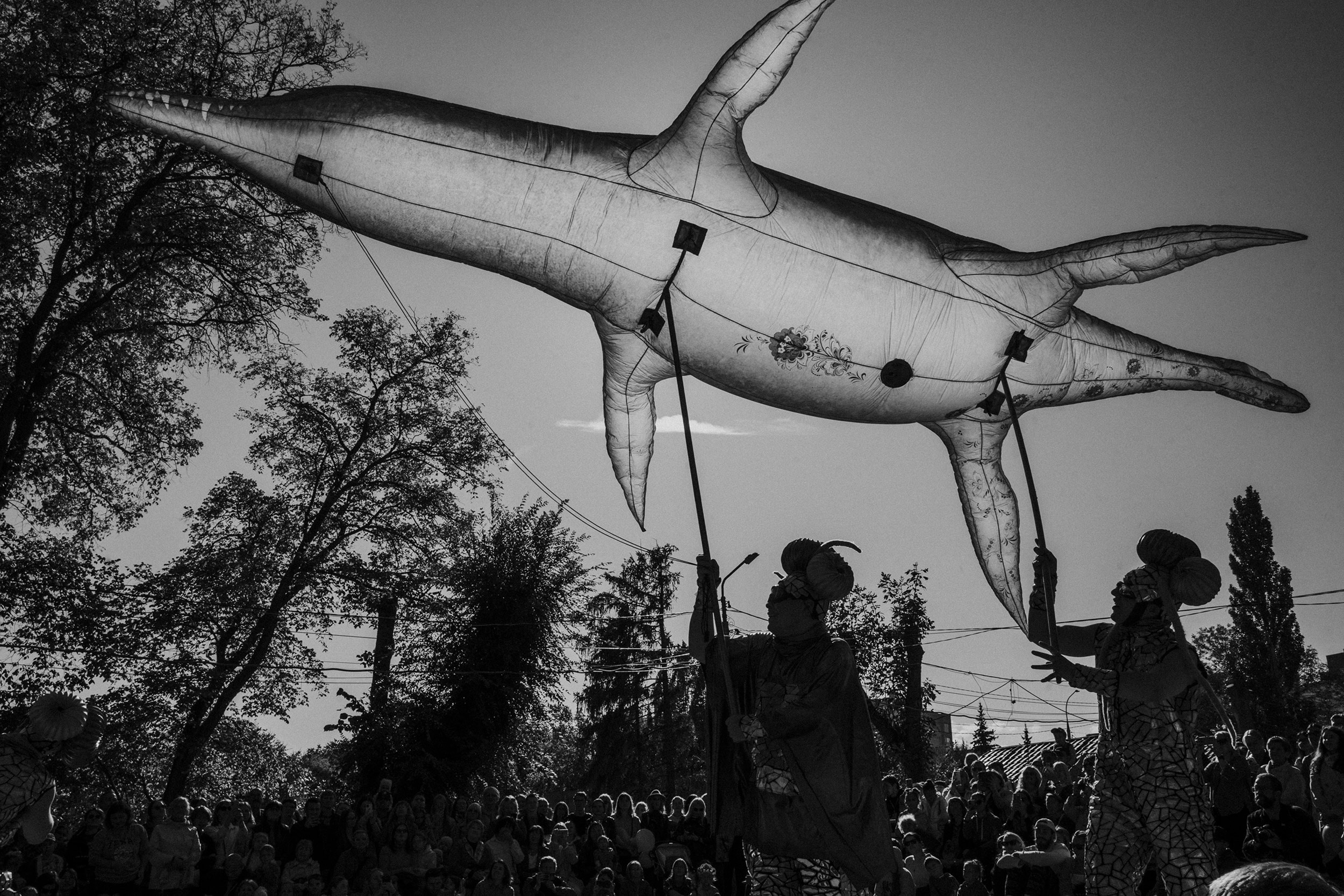 Сесорова Анастасия. Фотообъединение Самарского областного отделения Союза журналистов России