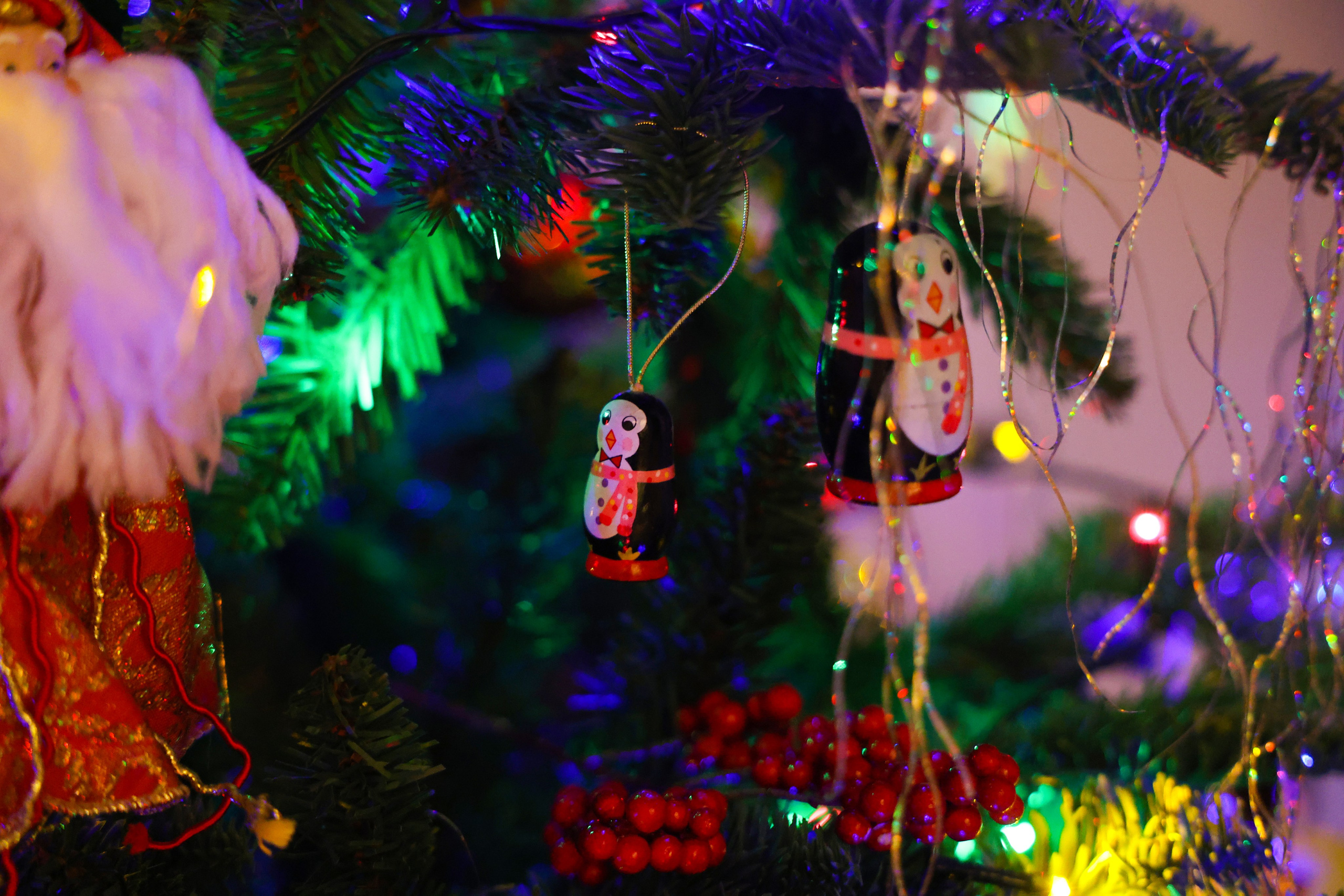 Christmas tree. Portrait photographer based in Toronto — Blinova Mariia