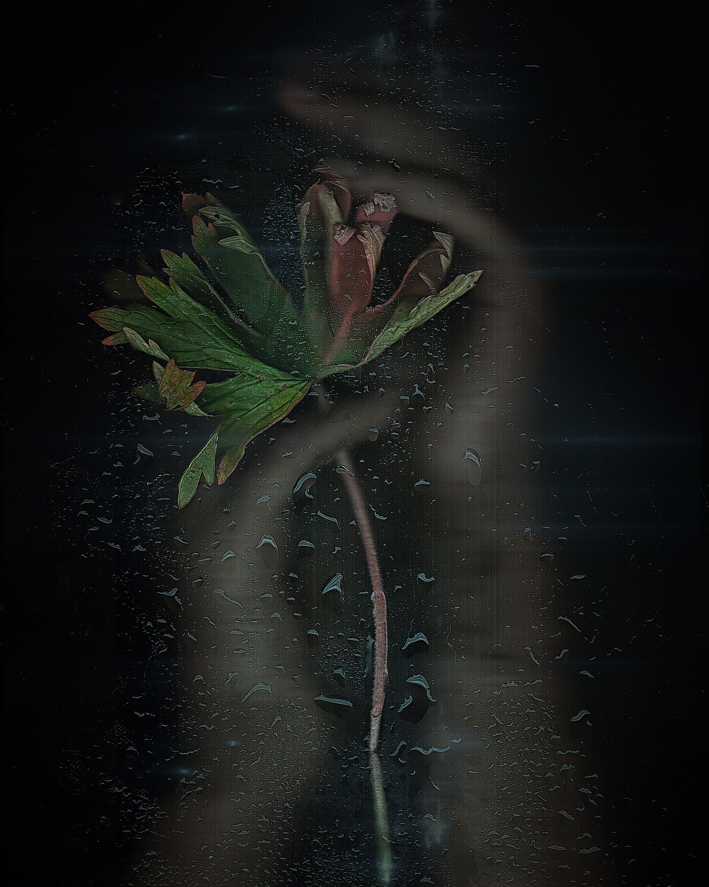 Интерьерные фотокартины. Фотограф Наталья Туева FineArt съёмка