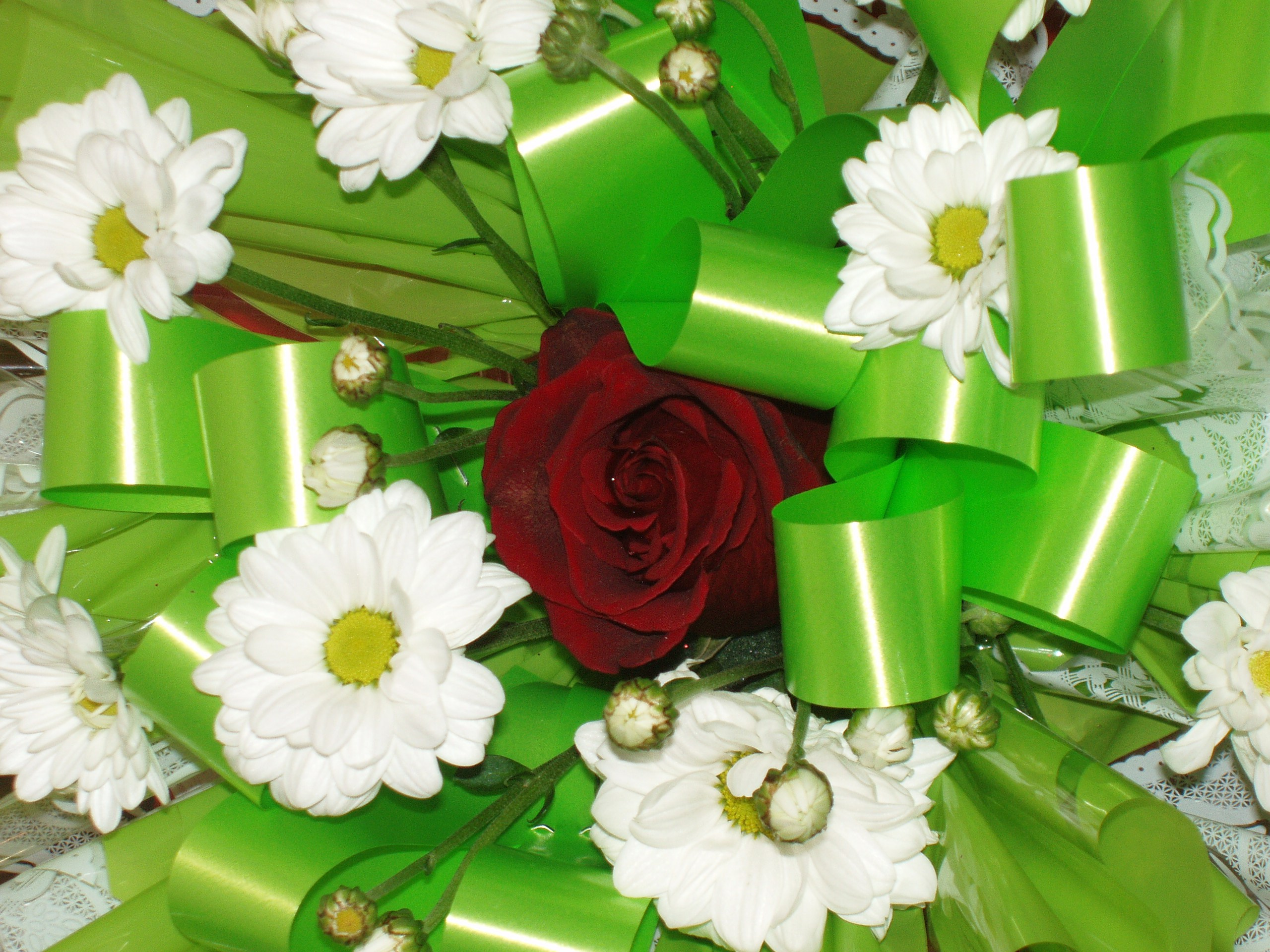 Мама ДР 30.06.2012. Семейный, Свадебный фотограф СПБ Питер— Романова Екатерина