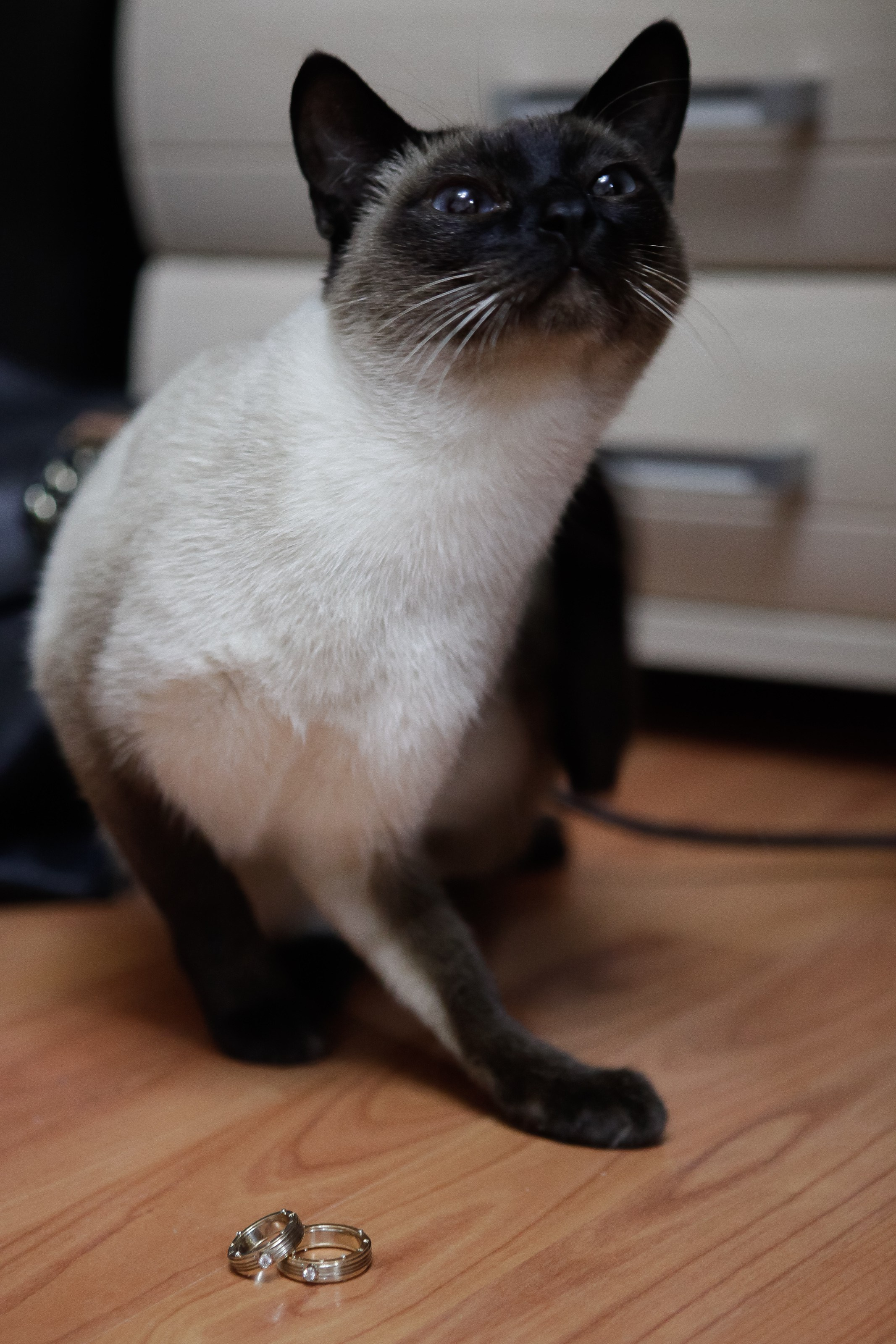 Утро/Morning. Максим Матвийченко и Виктория Басова профессионалы своего дела