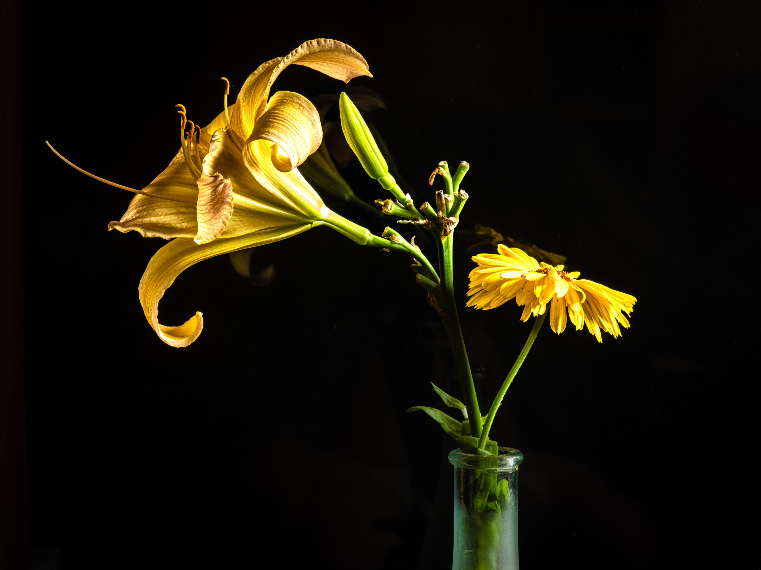 Предметная съемка. Пейзажный и семейный фотограф в Санкт-Петербурге Александр Белов