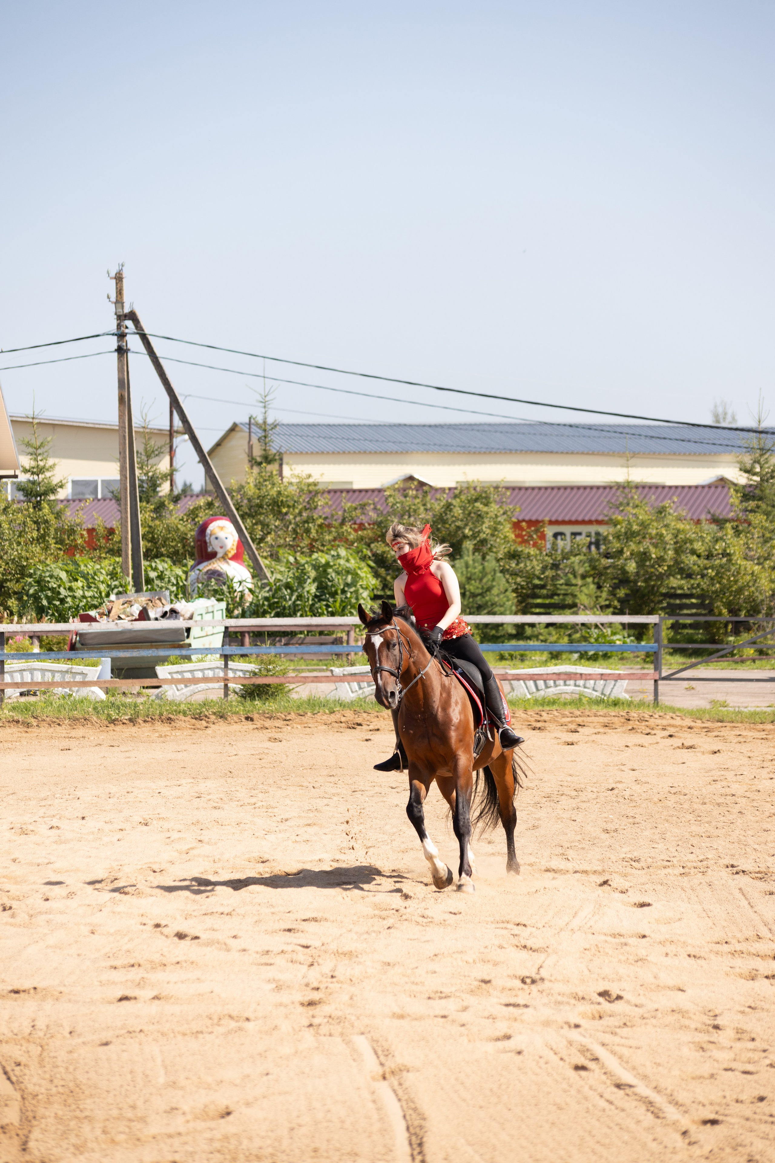 Конюшня. Фотограф в Москве и Истре