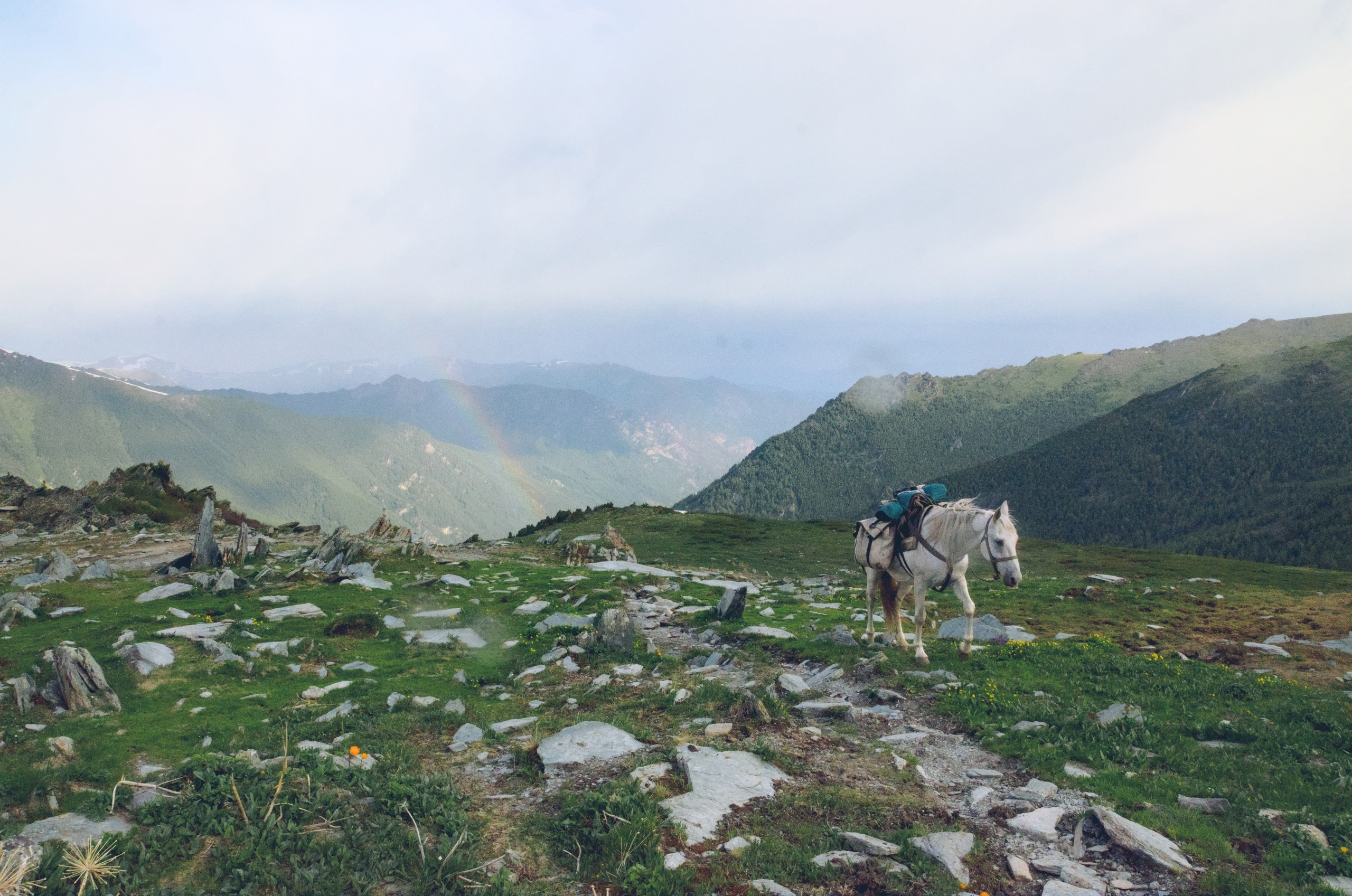 Стоянка «Каменная изба». Фотограф анималист, пейзажист, спортивные мероприятия. Новосибирск