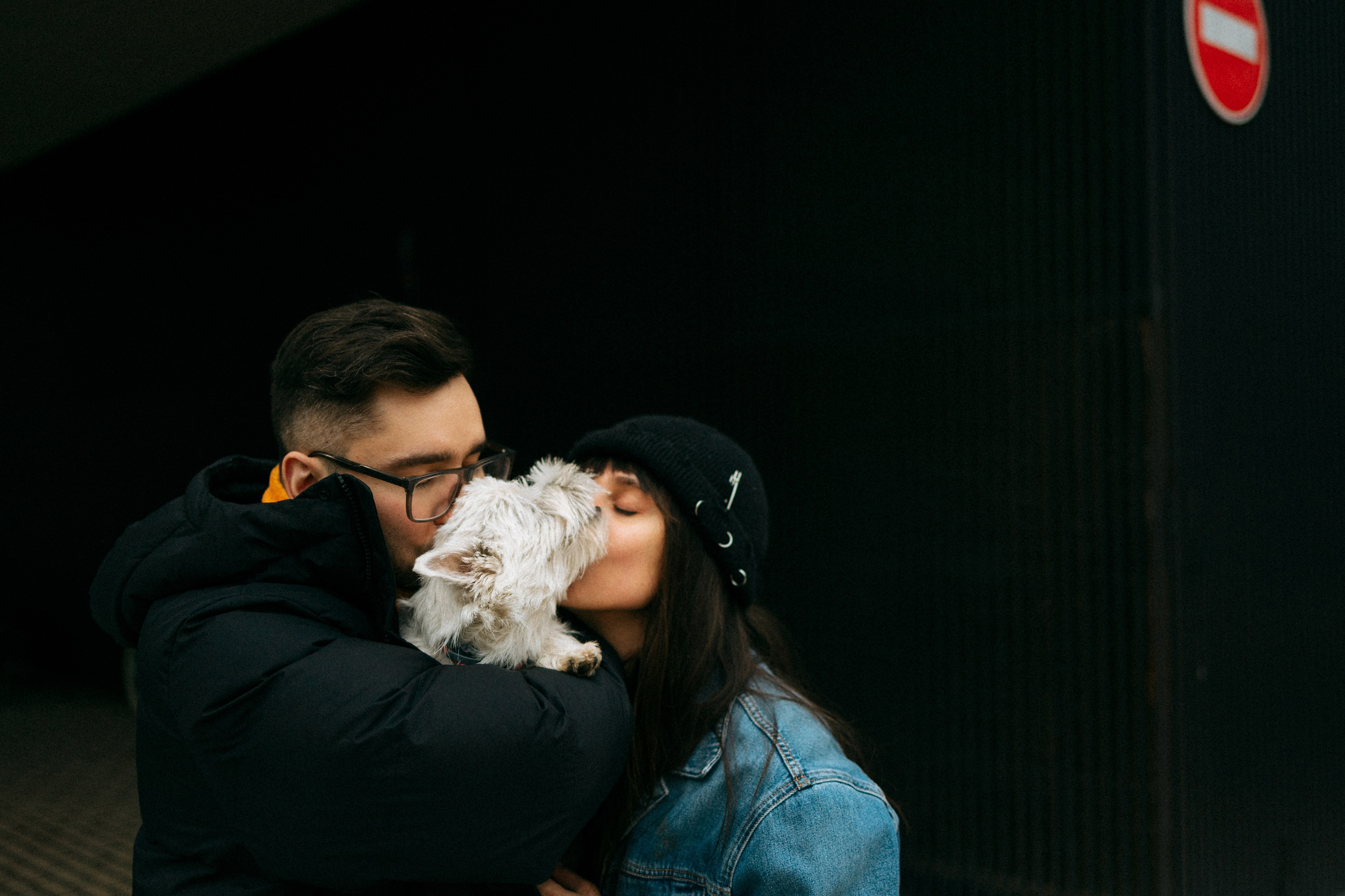 Снежуля, Мари и Саша. Фотограф анималист Анастасия Пикей