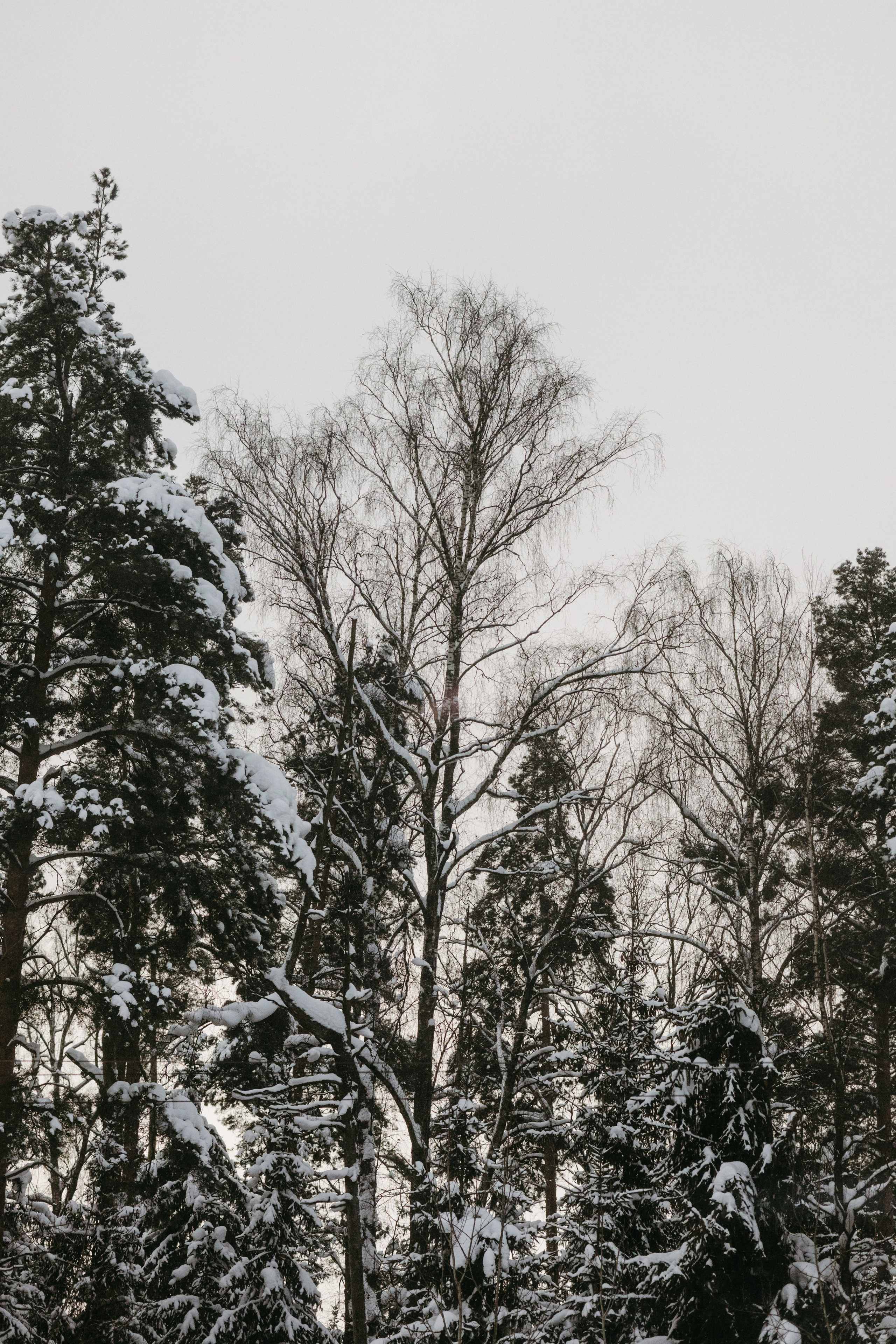 Виды из поезда. Фотограф Эльмира Лин