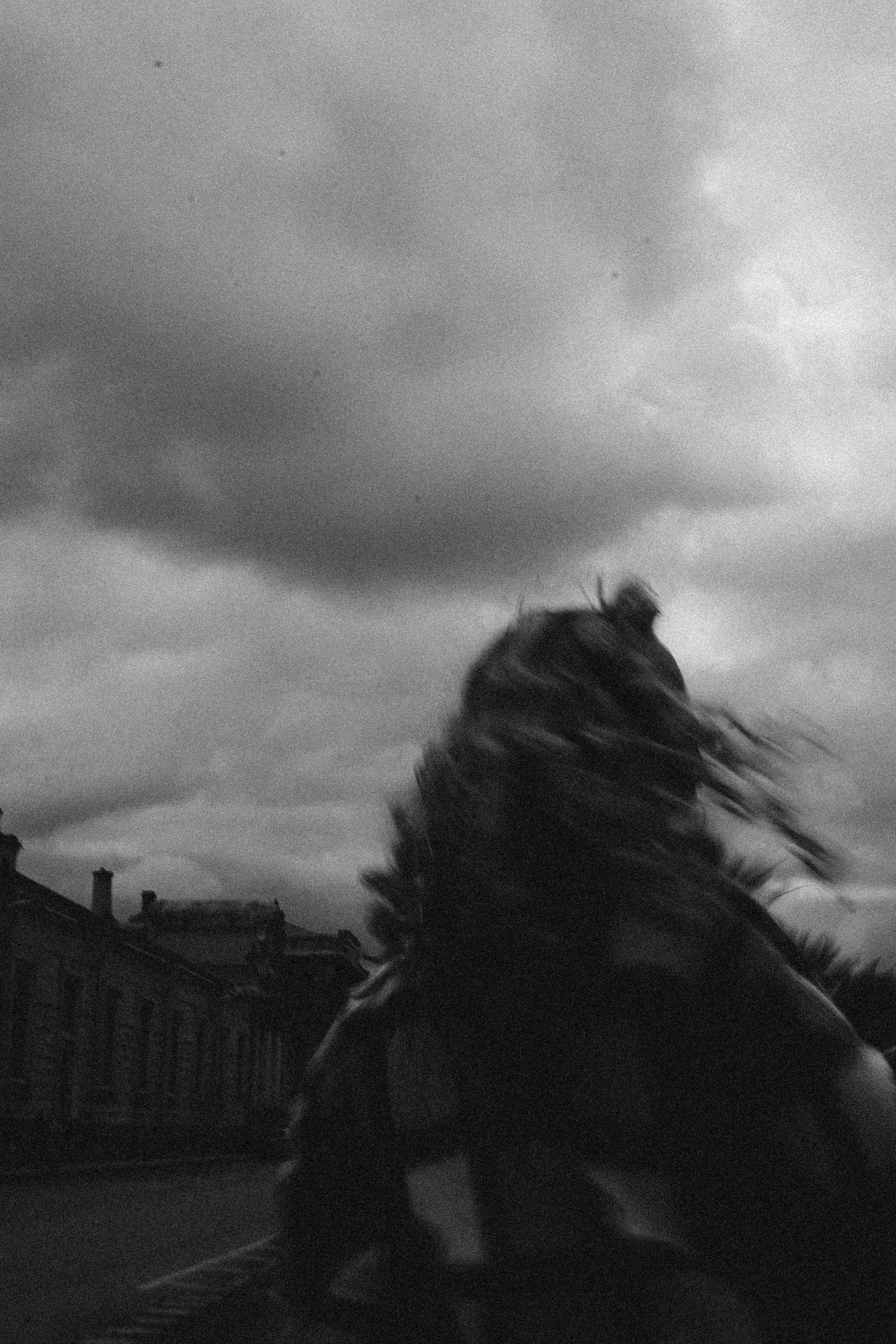 Студийная. Профессиональный фотограф, Санкт-Петербург — Виктория Богомолова