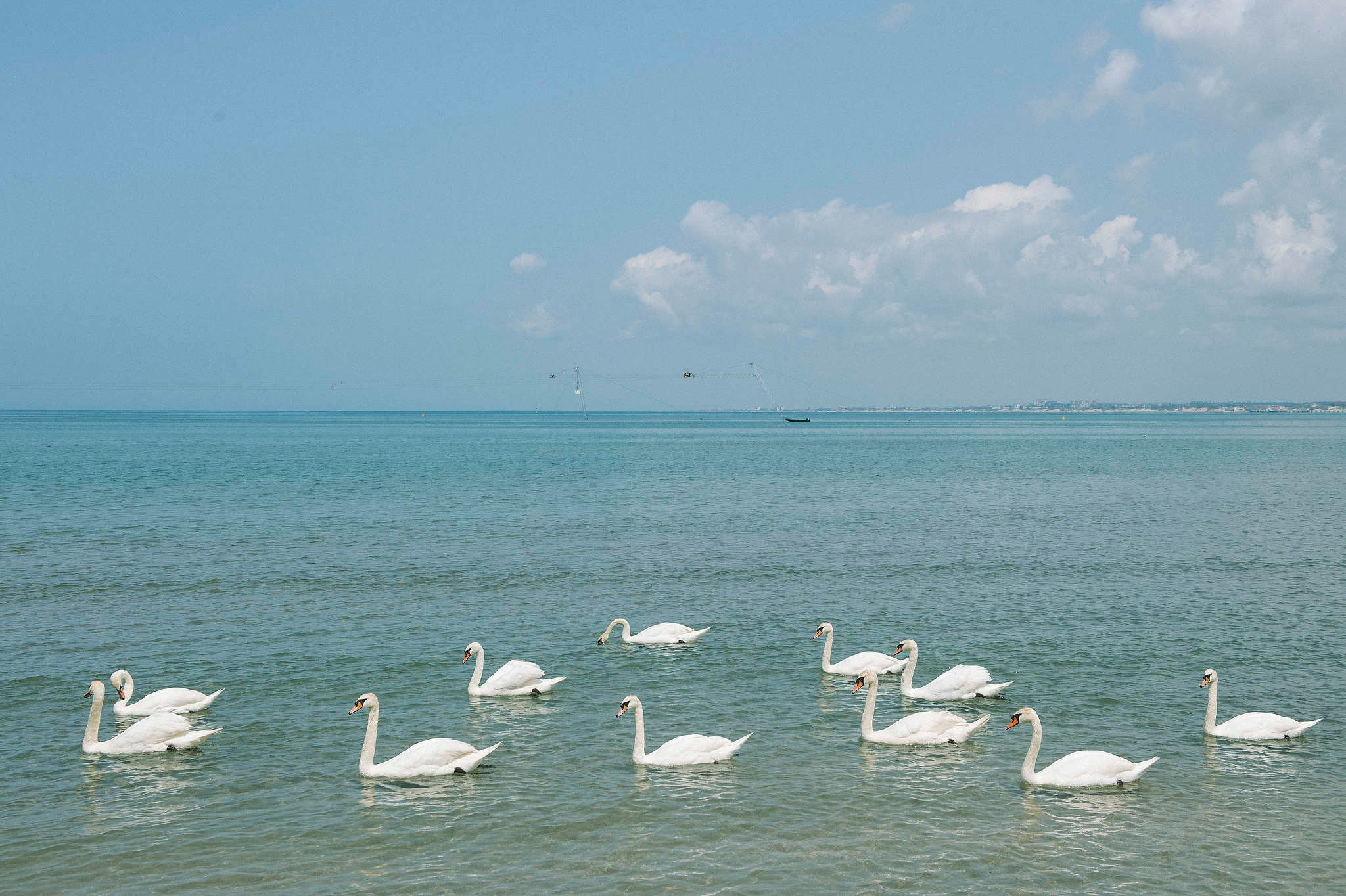 Фотограф Михаил Мордасов. 18 лет работы профессиональным фотографом. Репортажный фотограф в Сочи — Михаил Мордасов
