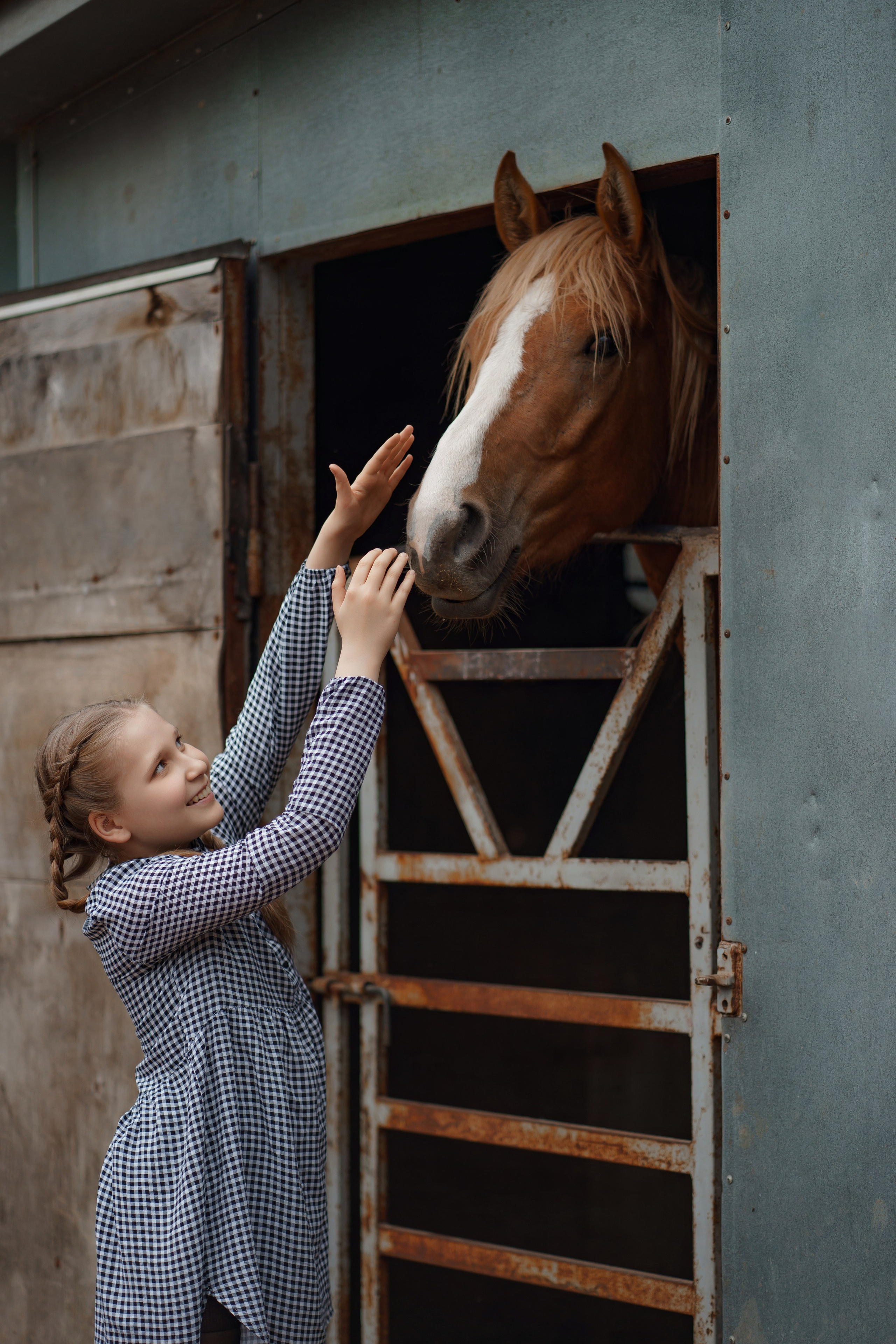 ФЕРМА. Фотограф Людмила Панюхина г. Нижний Новгород