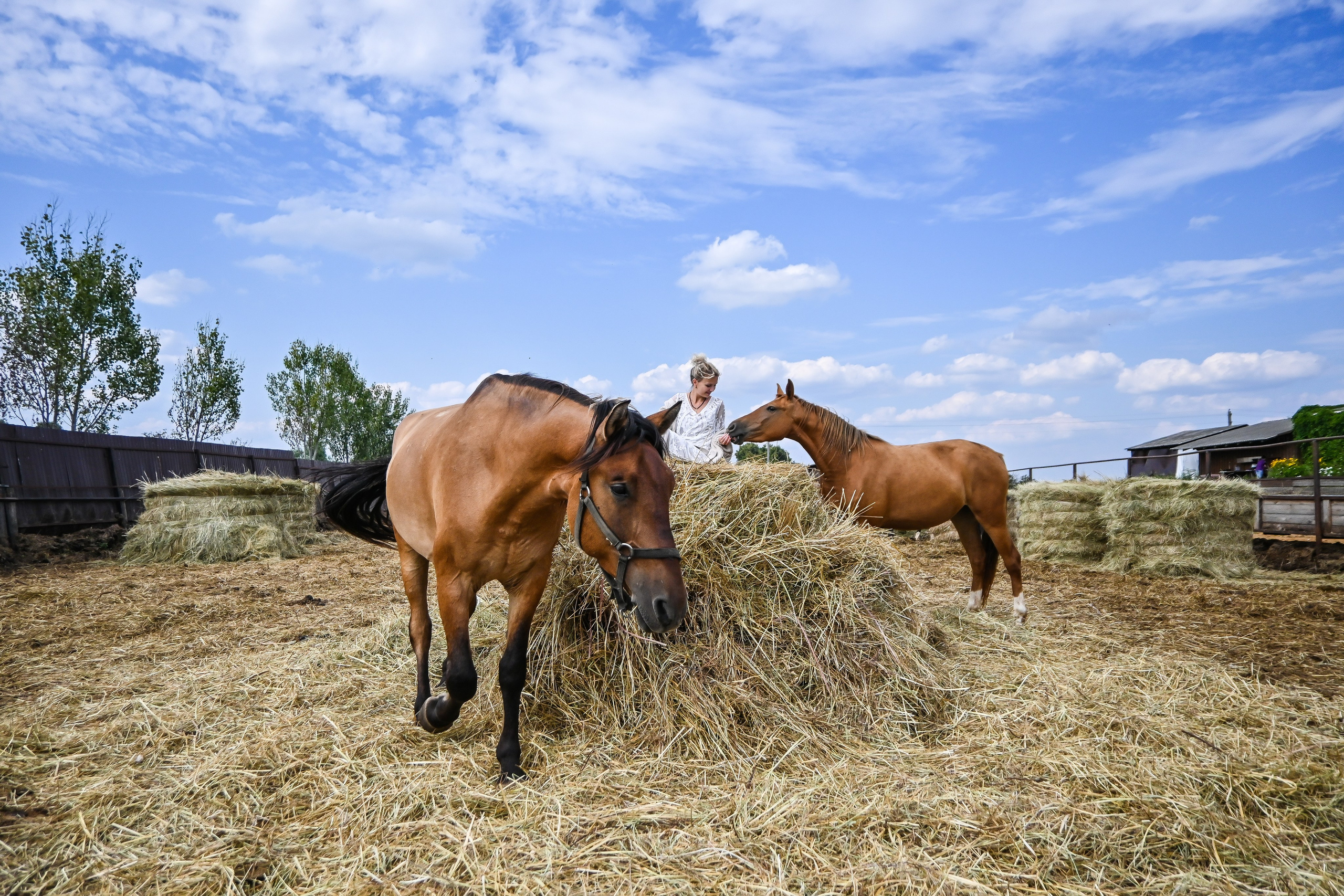 РАНЧО/ АВГУСТ. Фотограф для бизнесконтента, репортажей и семейного альбома в Москве