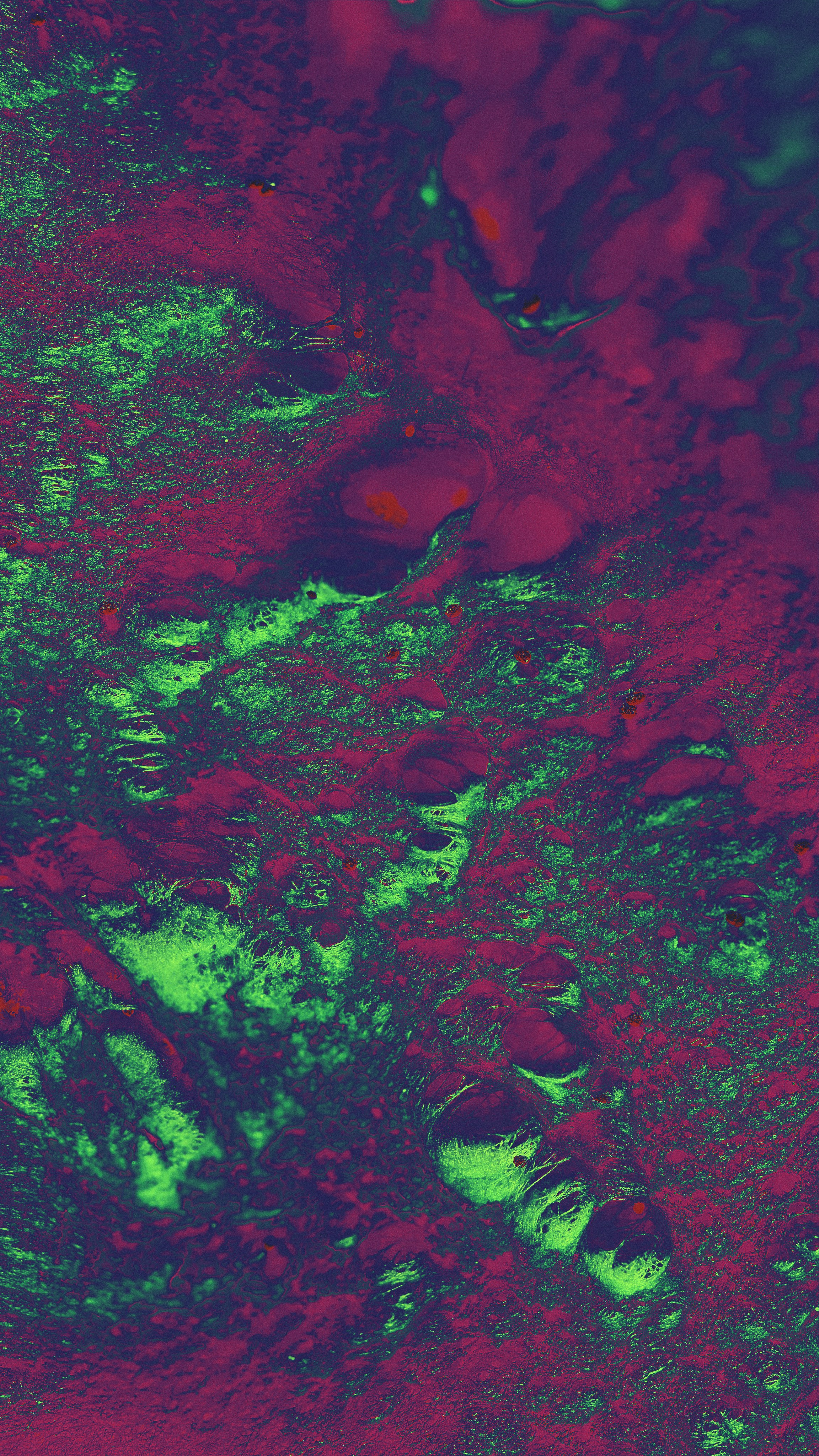 Сайт в процессе разработки