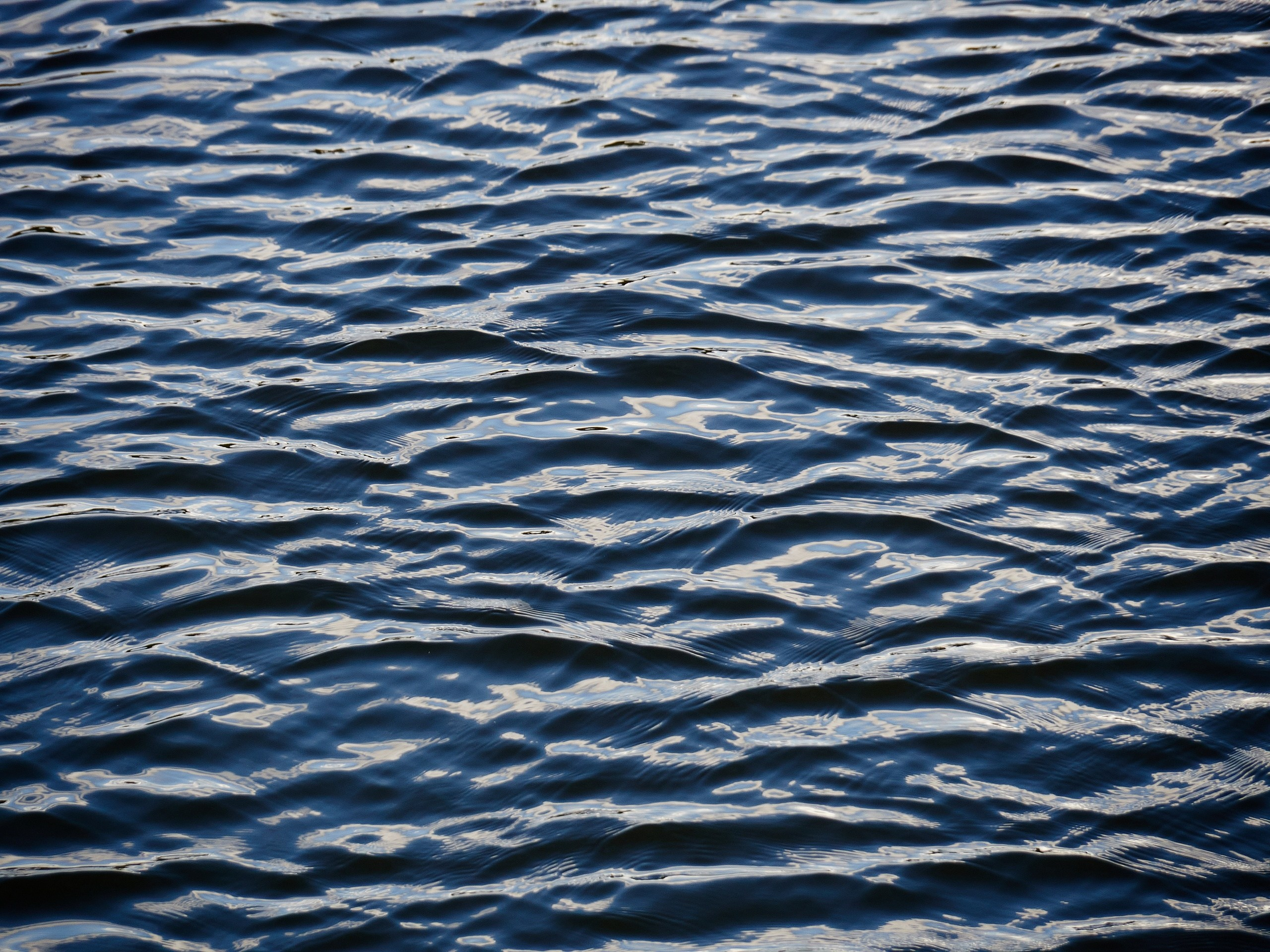 Сайт в процессе разработки