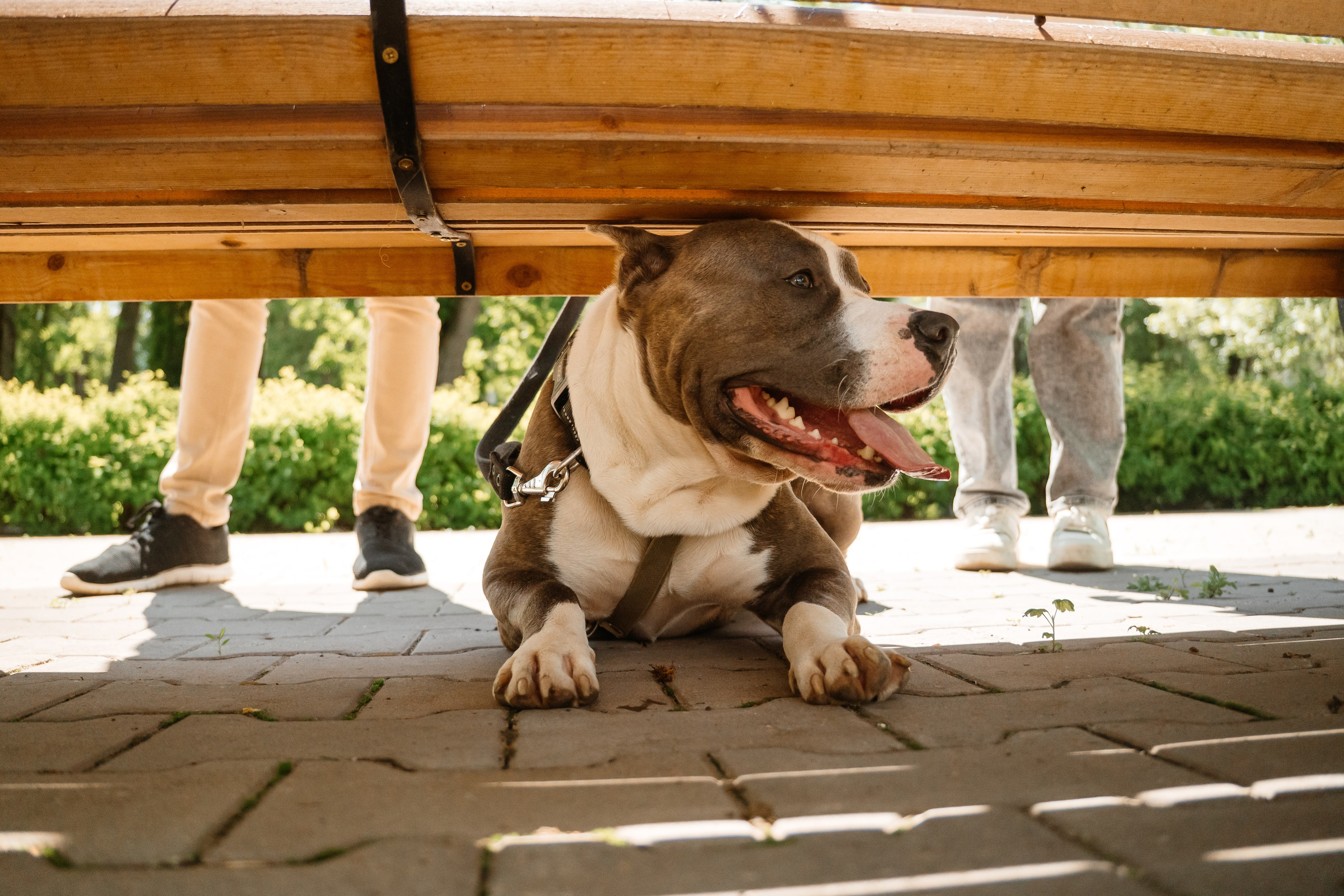 Ксения и Артём. Семейный и LifeStyle фотограф в Жигулевске и Тольятти Рустам Ханмурзин