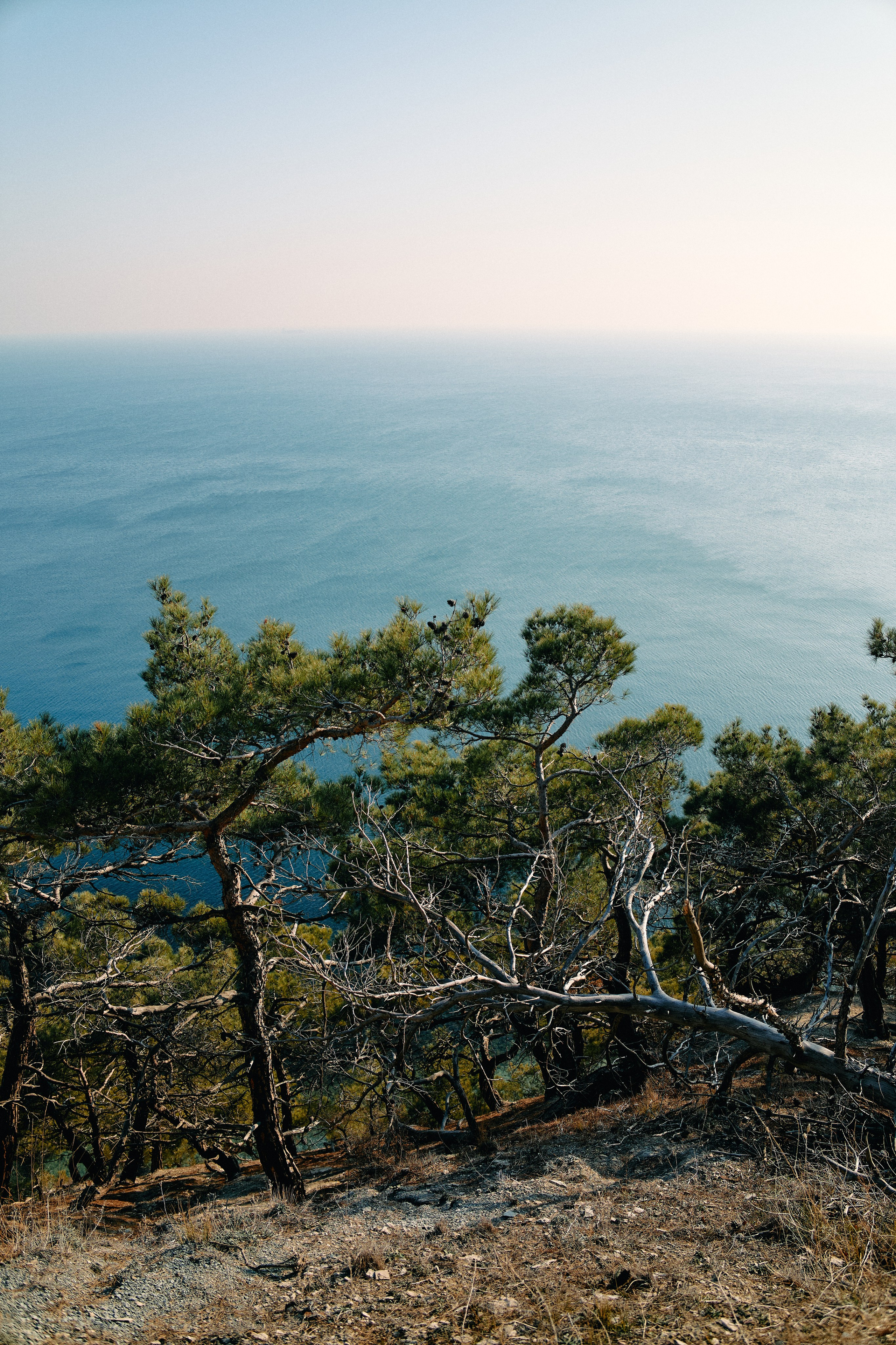 Юг России. Профессиональный Фотограф во Владимире, в Москве и в Суздале — Полина Романычева