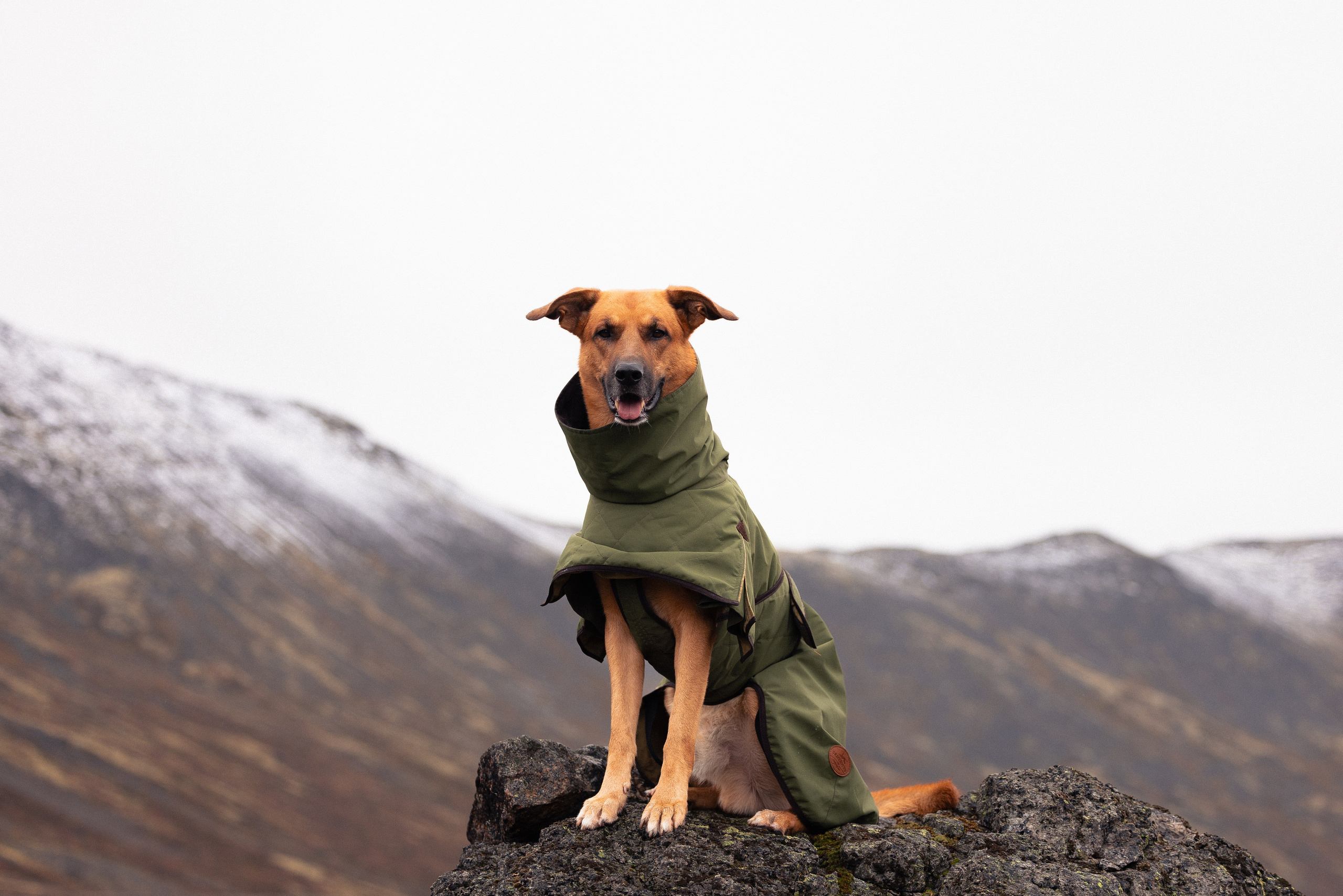 Кольский. Фотограф и видеограф анималист Аганина Дарья