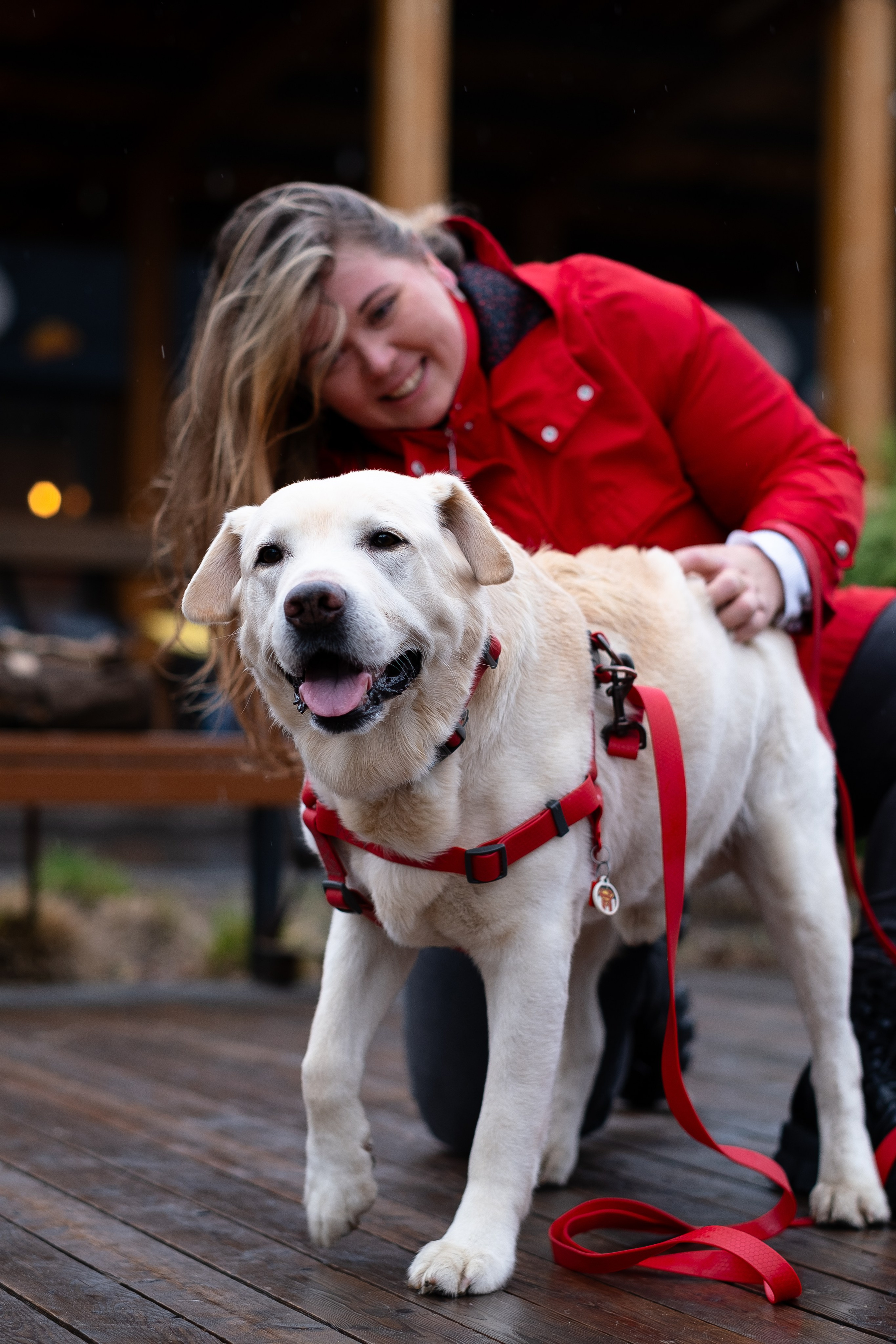 Света и Лето. Фотограф и видеограф анималист Аганина Дарья