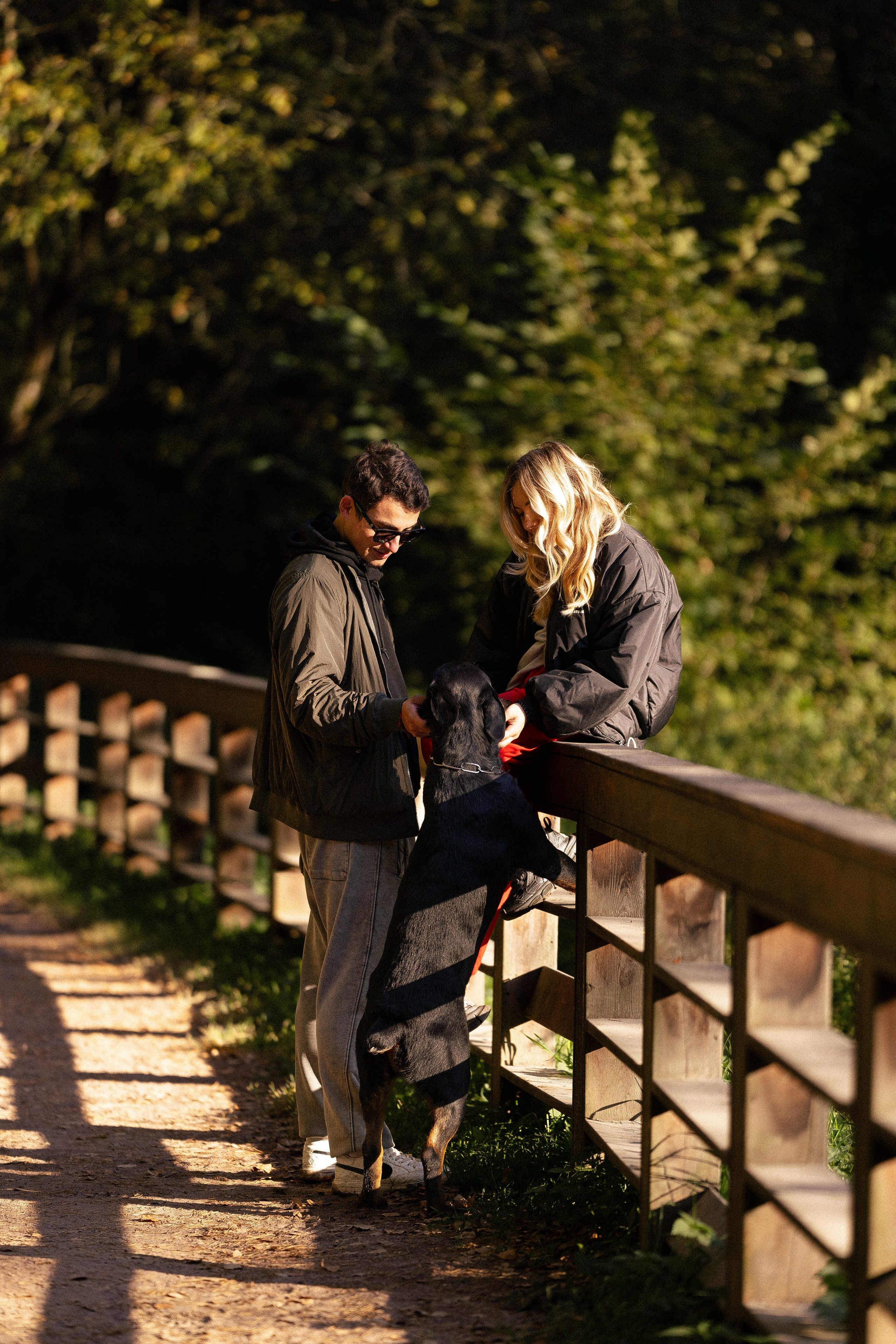 Катя, Леша, Лея и Трой. Фотограф и видеограф анималист Аганина Дарья