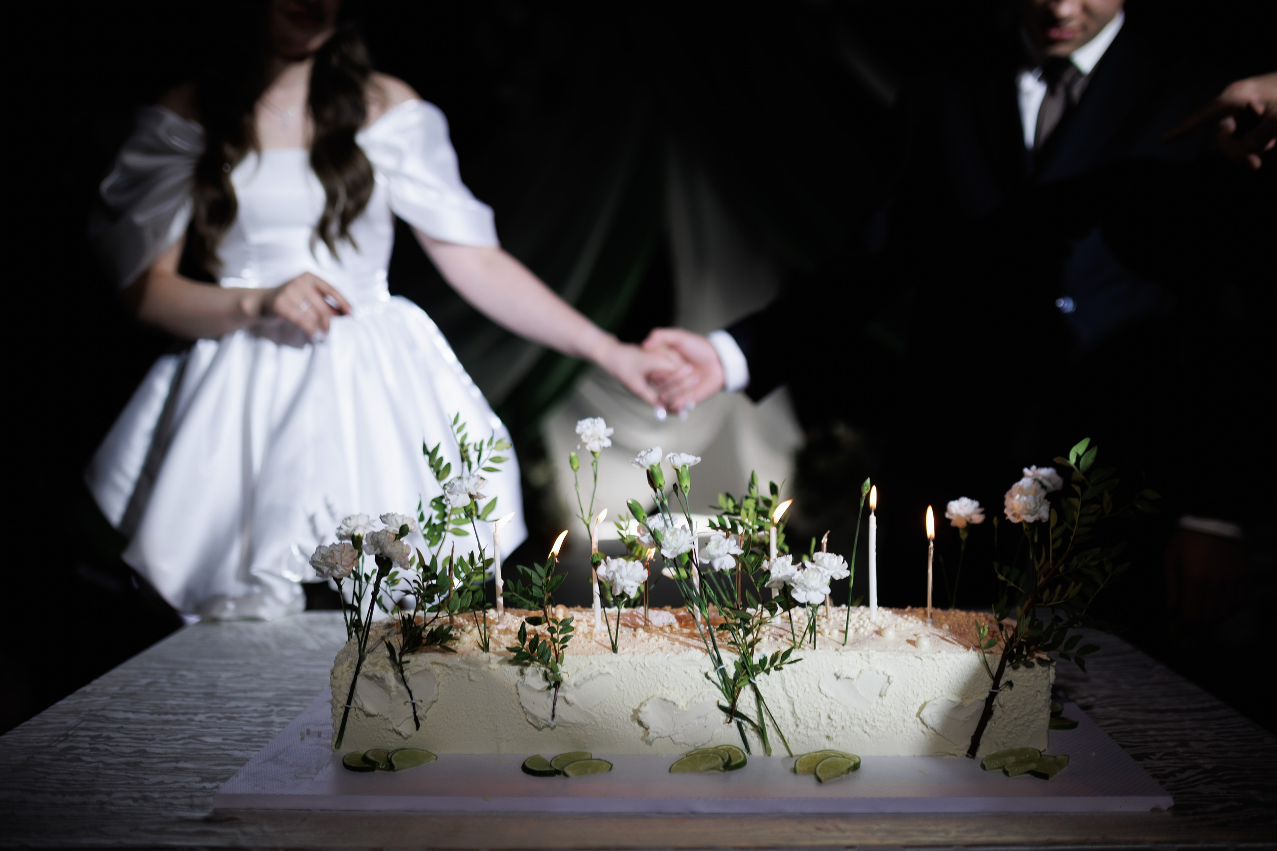 Сентябрь 2025, Белый лис, Выкса. Фотограф городских и семейных событий в Нижнем Новгороде Артем Карпухин