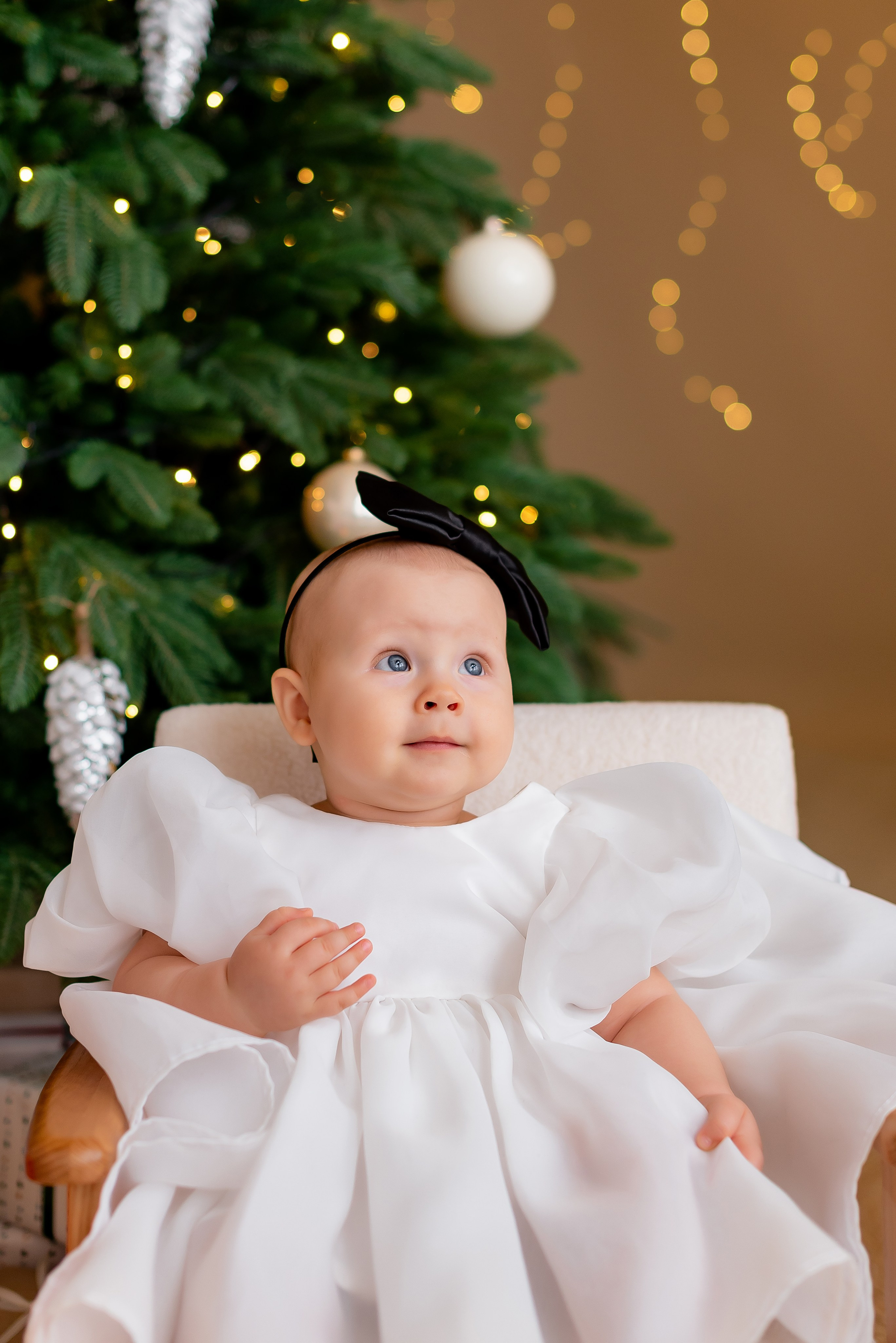 Новогодняя студия Скандибек. Фотограф Татьяна Иванчикова