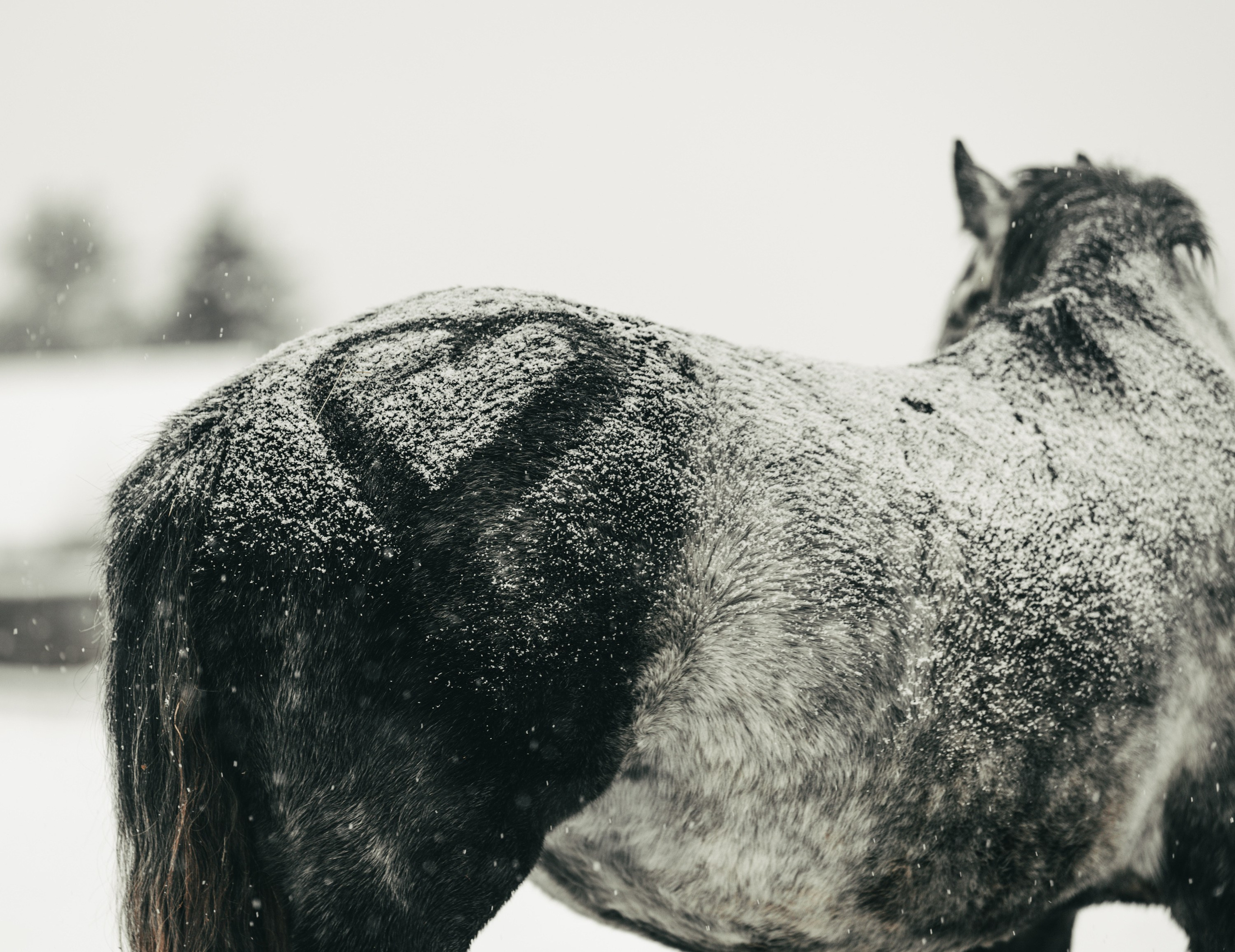 Фотограф Варвара Ермоленко
