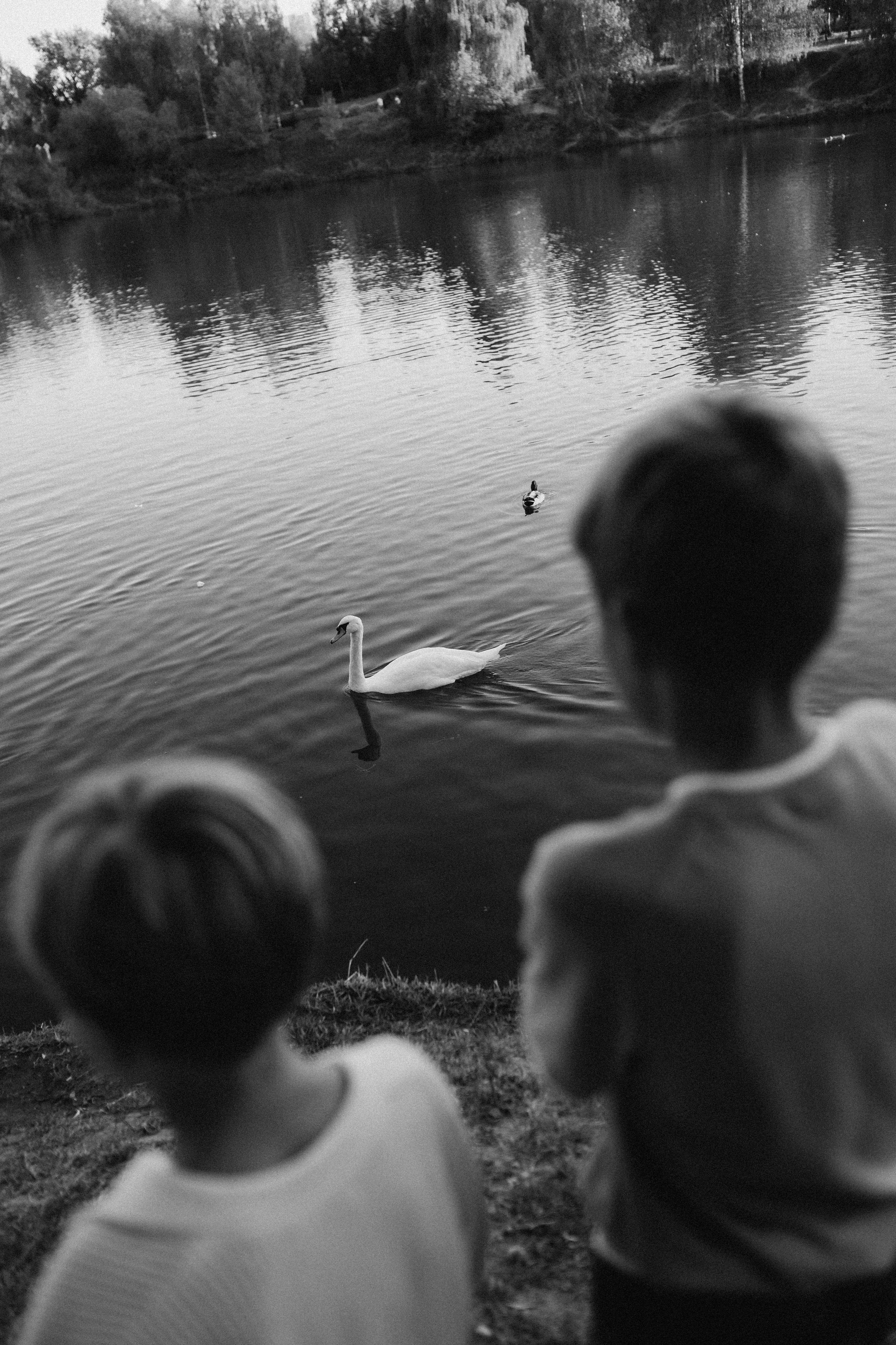 Семейная фотосессия в Москве. Женский и семейный фотограф в Москве и Красногорске Светлана Левченко