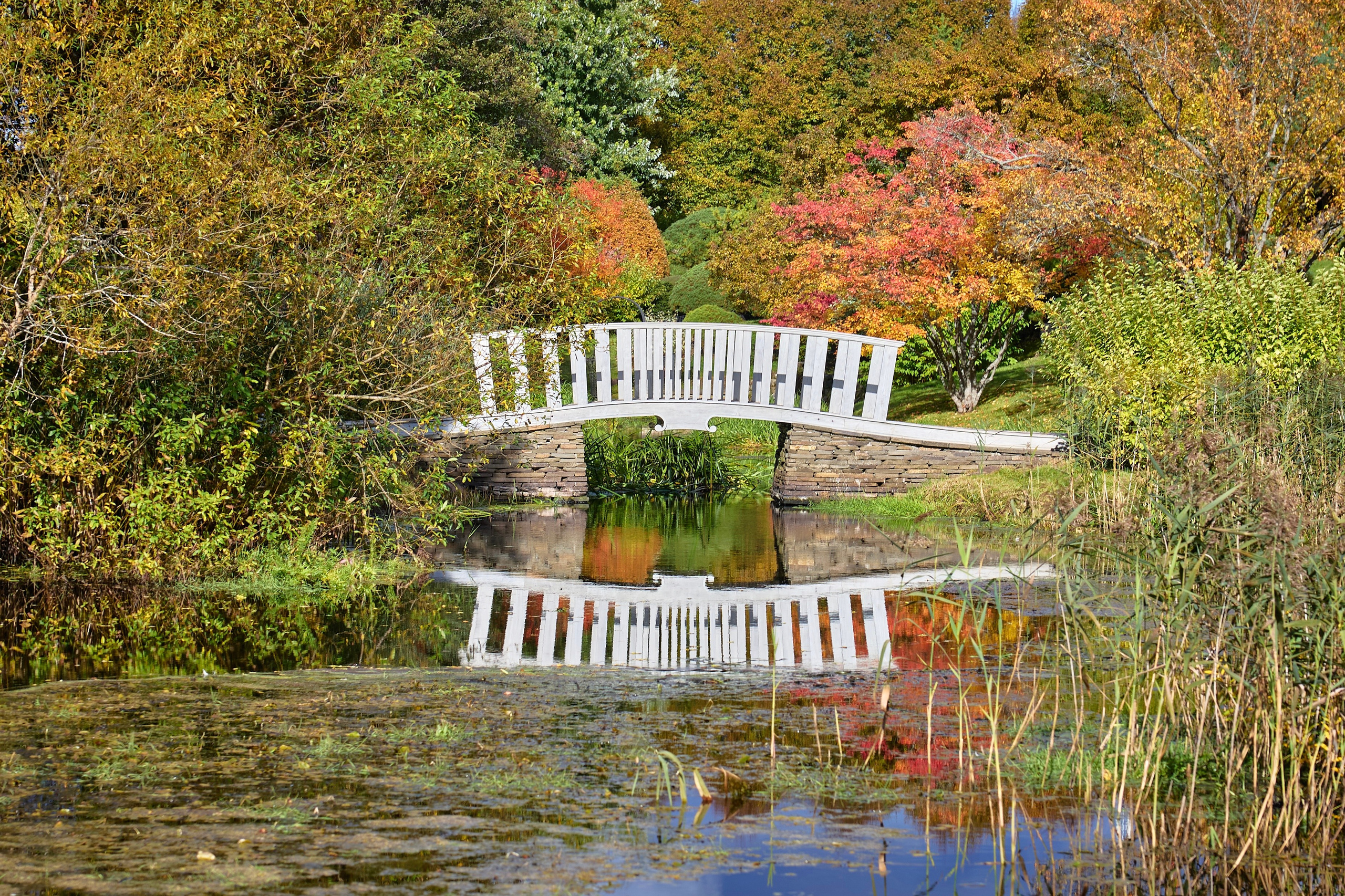 Пейзаж. Фотограф Люся Воробьева