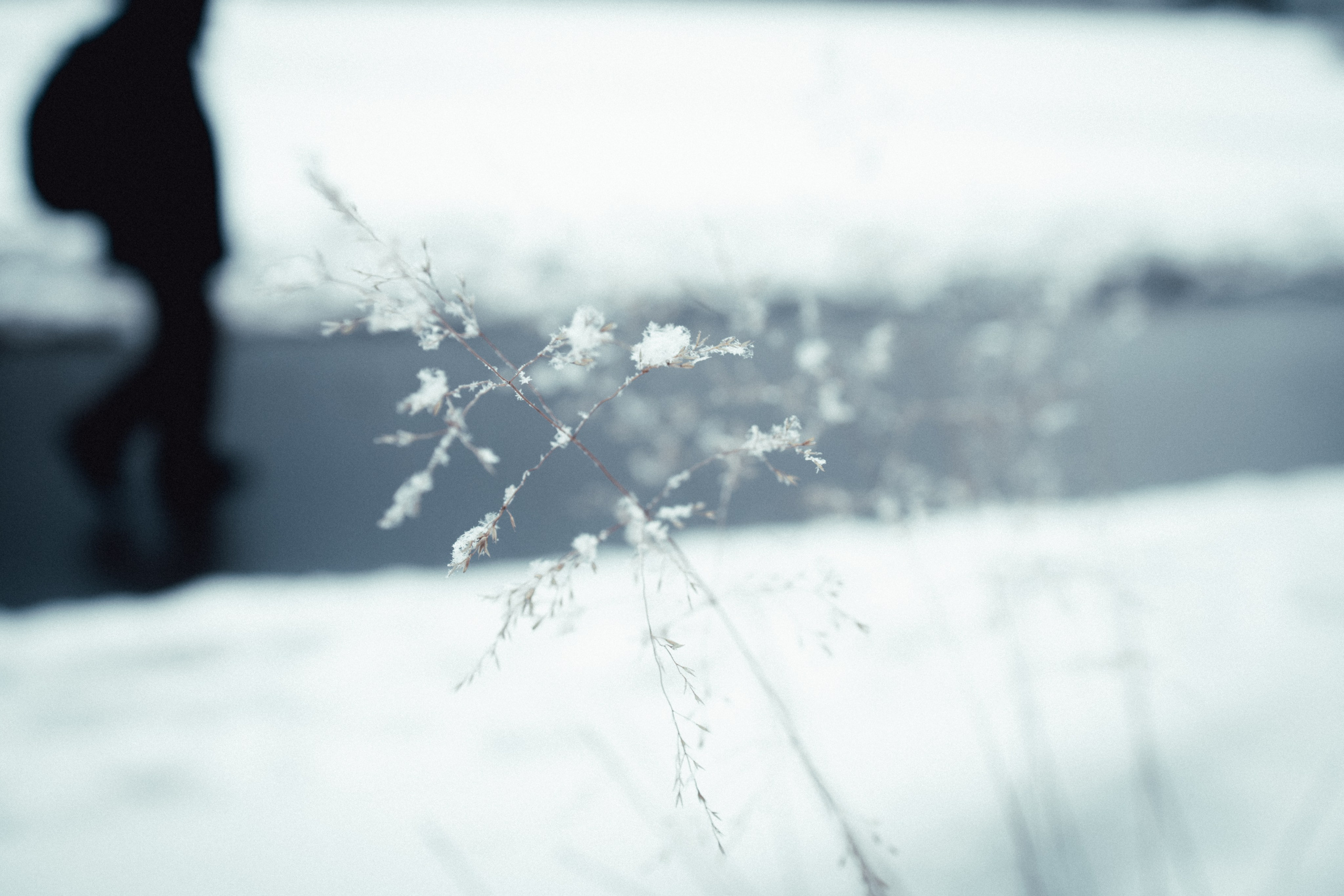 Маршрут ветеранов — электросила. Анна Мильч