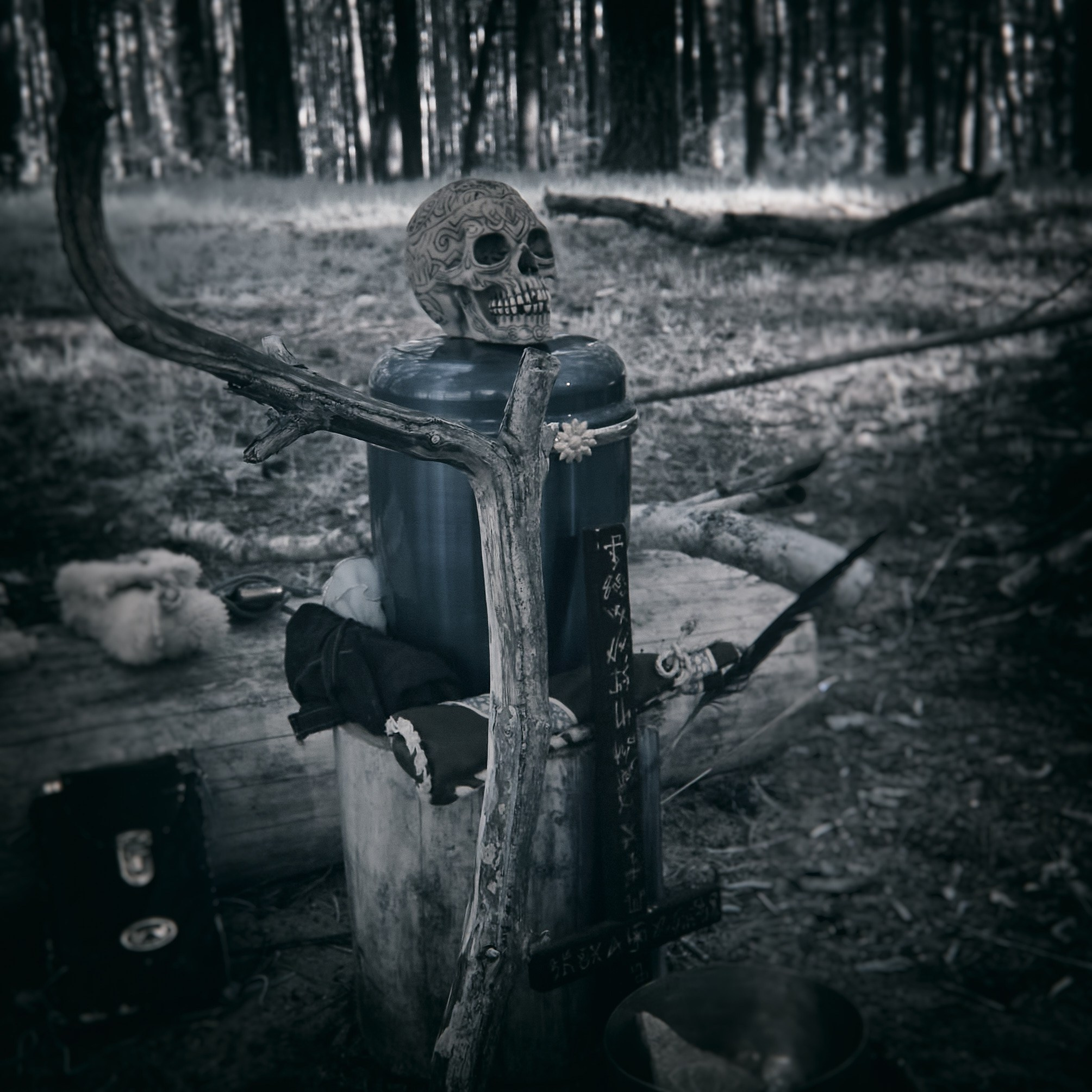 Наследие. Olitron Legacy