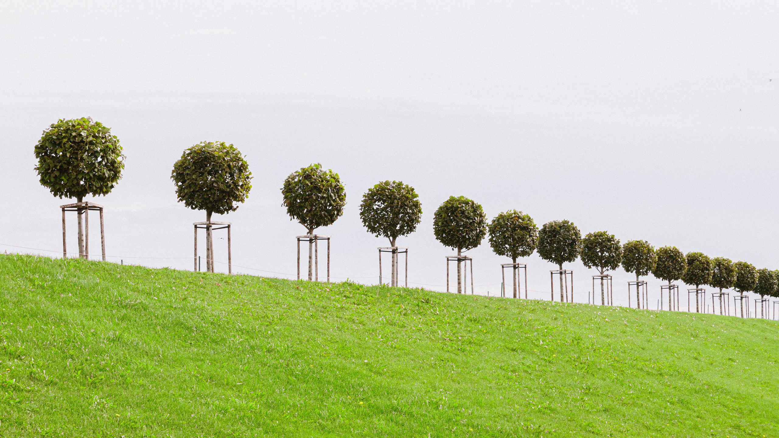 Стрит фотография. Дмитрий Рябов — фотограф