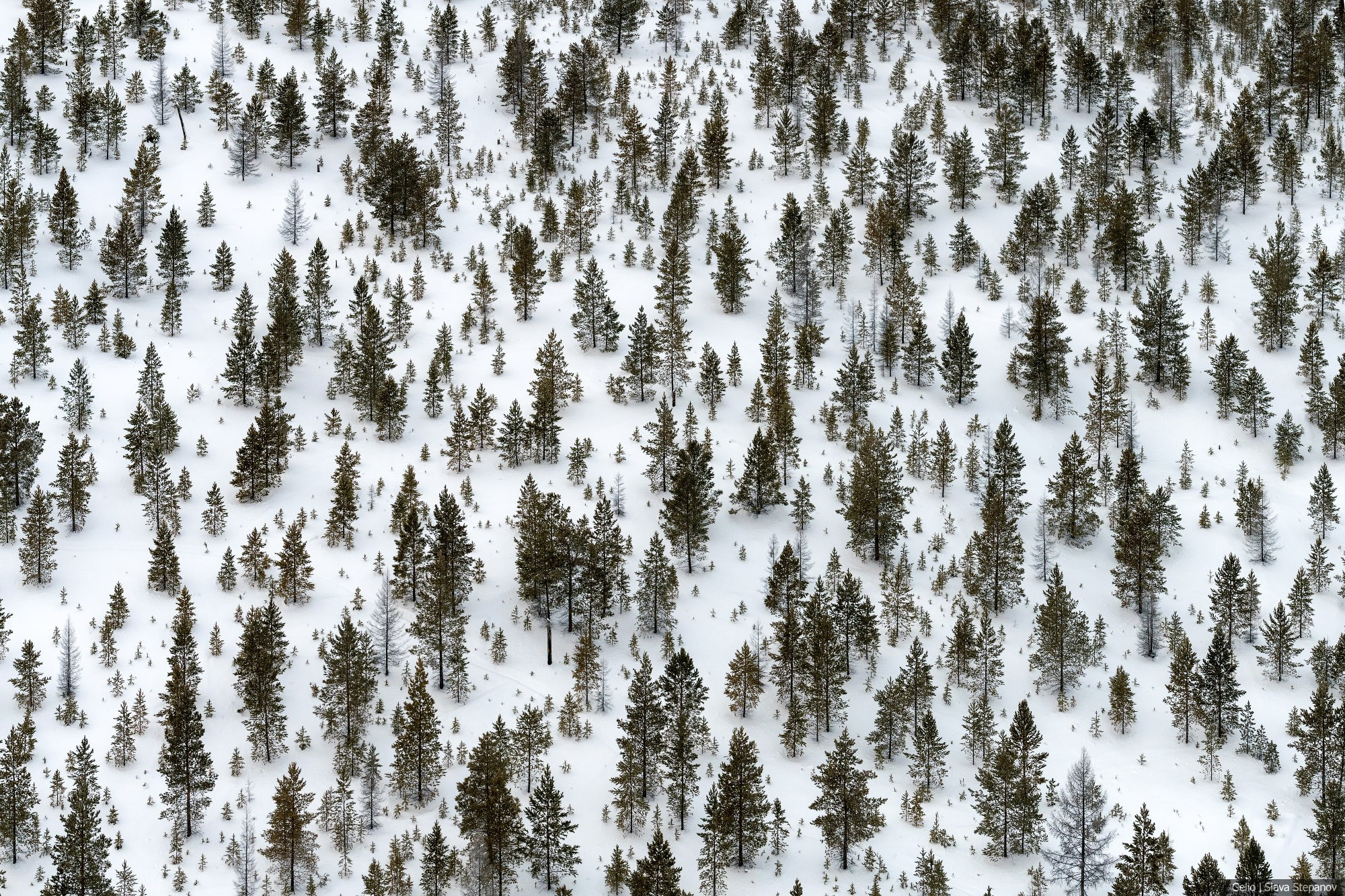 Природа. Фотограф Слава Степанов, Gelio