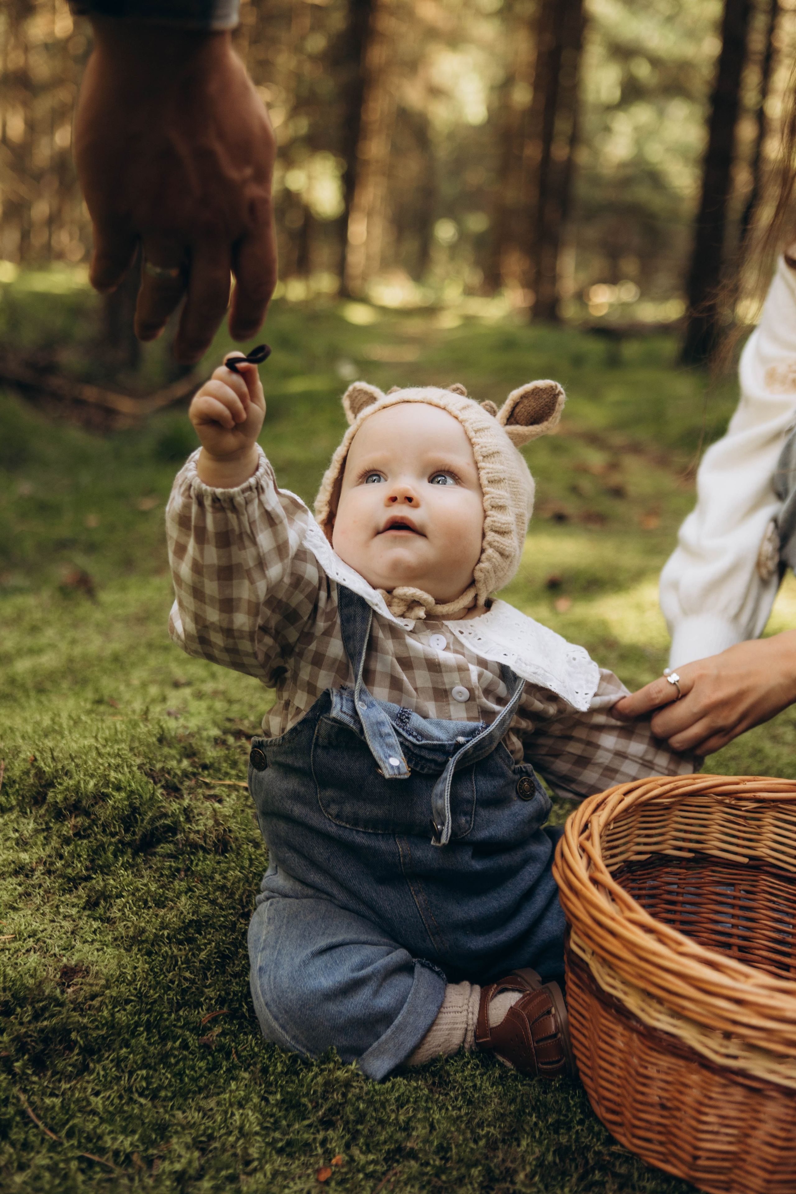 Лесная история. Наталья Косьянова. Ваш фотограф. Москва