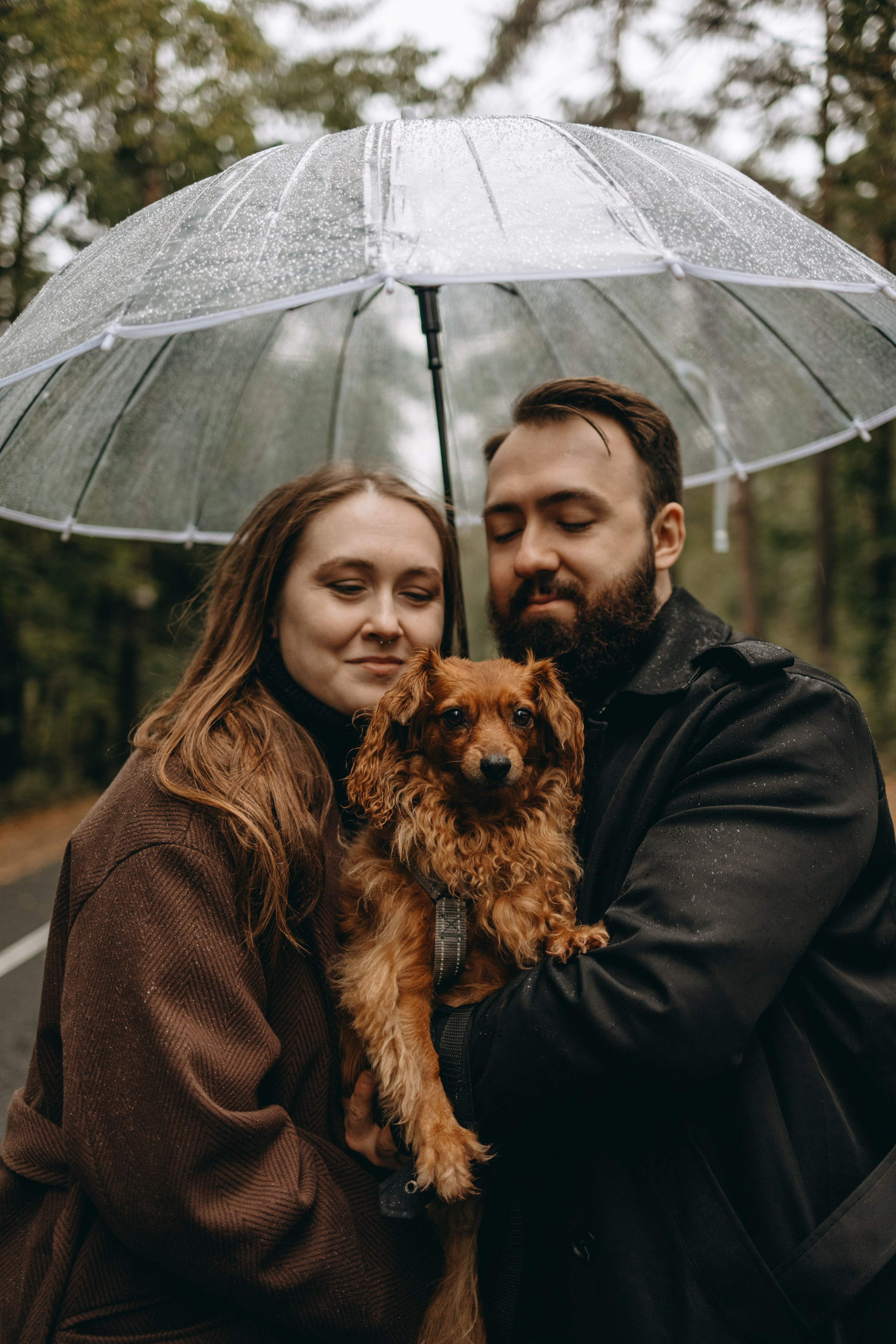 Жу и ее семья. Фотограф — Анималист | Санкт-Петербург