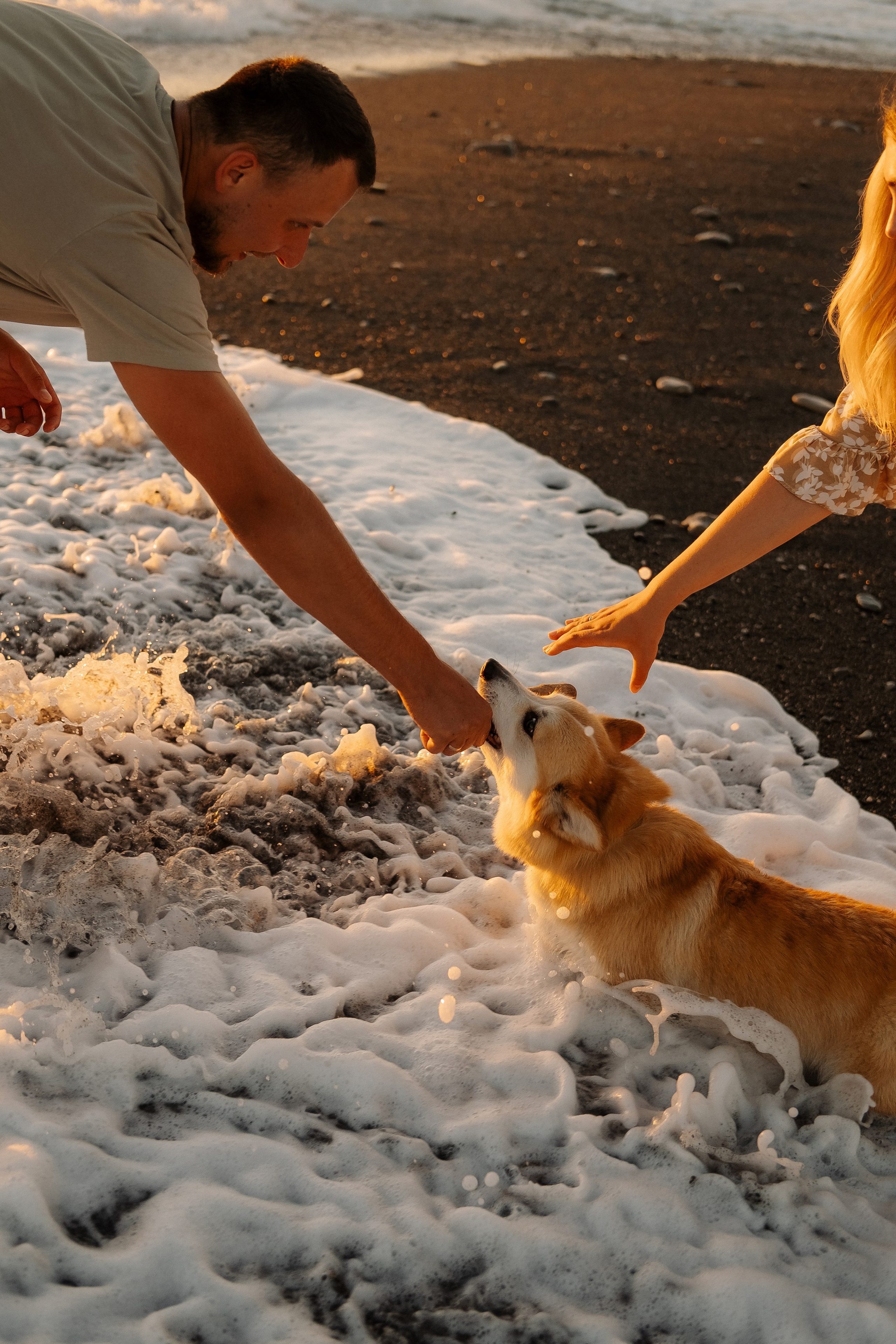Семейные фотосессии в Сочи, Сириус и на Красной поляне. Семейный, свадебный фотограф Сочи, Адлер, Красная поляна