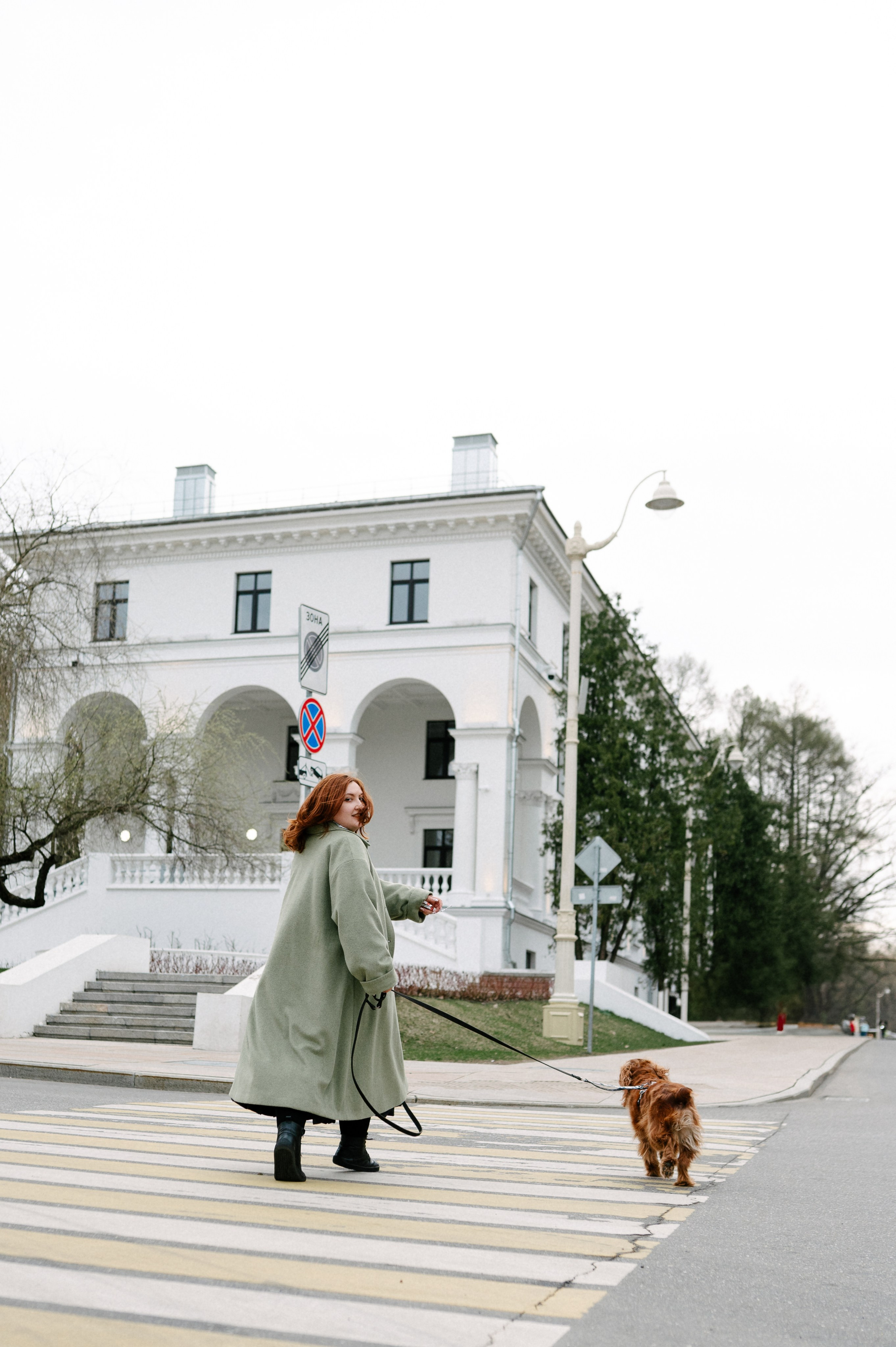 Рыжая команда. Фотограф анималист в Москве Ольга Агушева