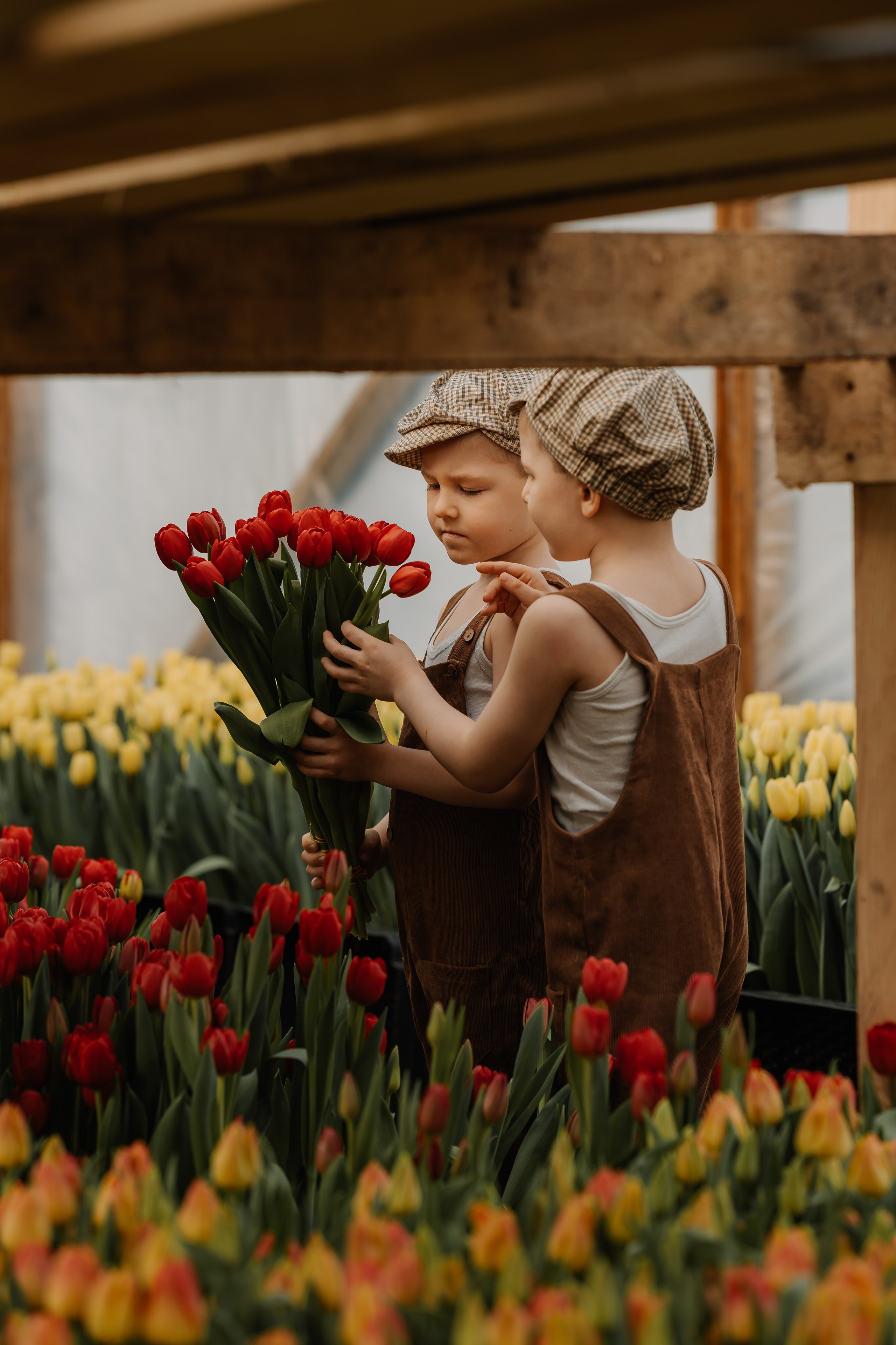 Мальчишки в тюльпанах. СВАДЕБНЫЙ ФОТОГРАФ КРАСНОЯРСК