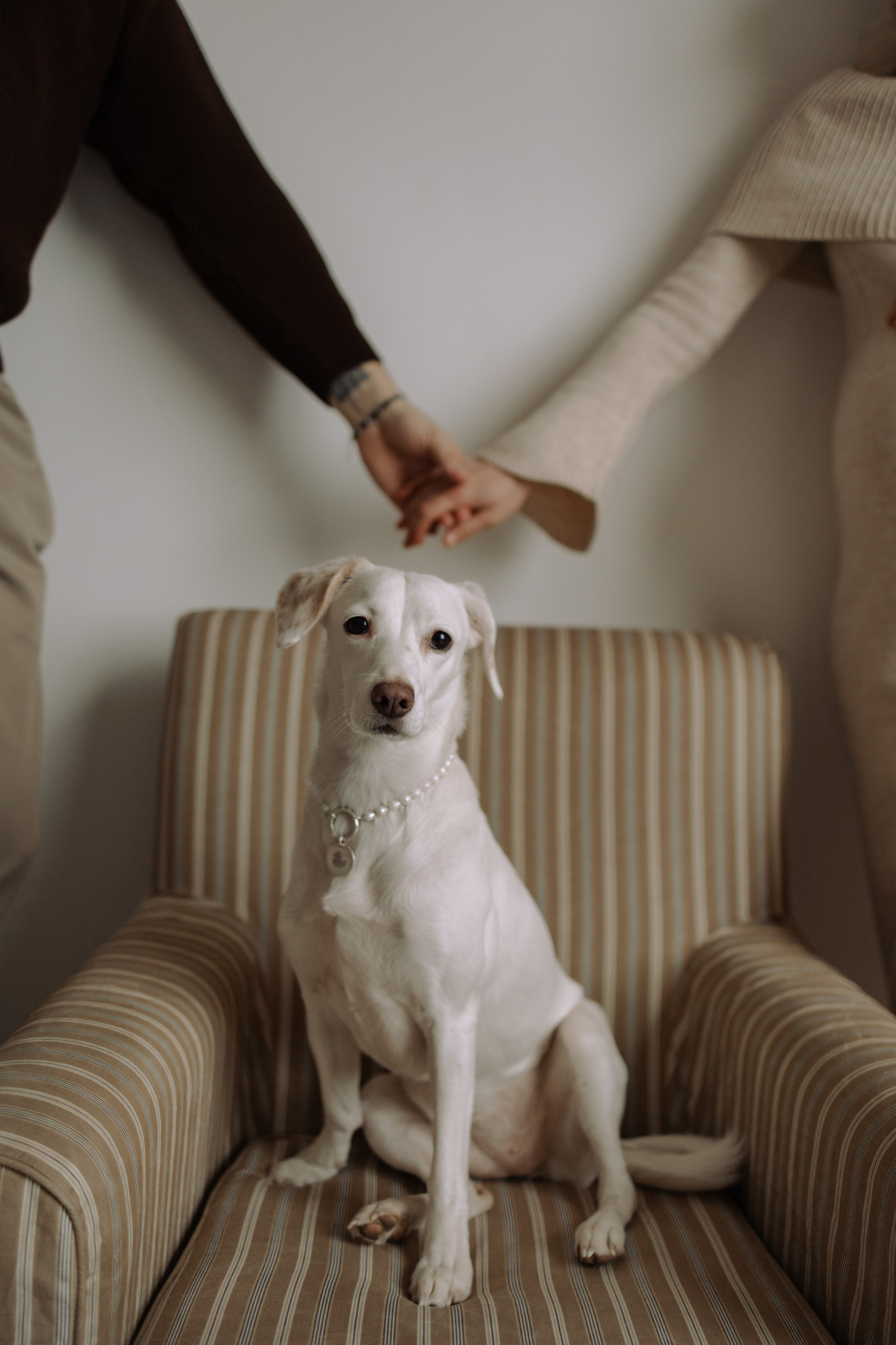 Луна и ее семья. Фотограф — Анималист | Санкт-Петербург